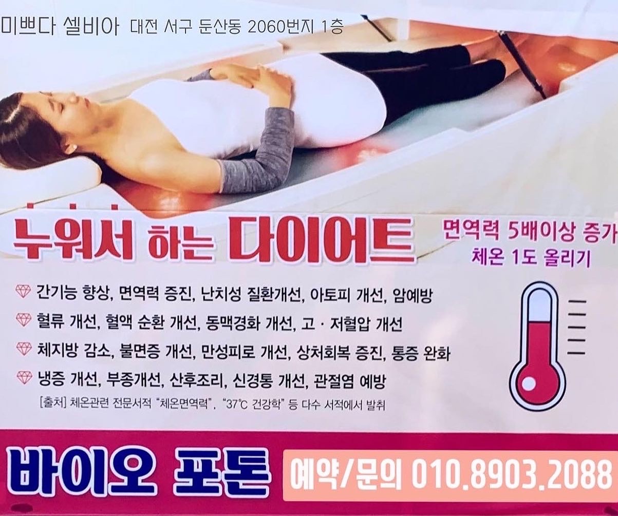 미쁘다 셀비아