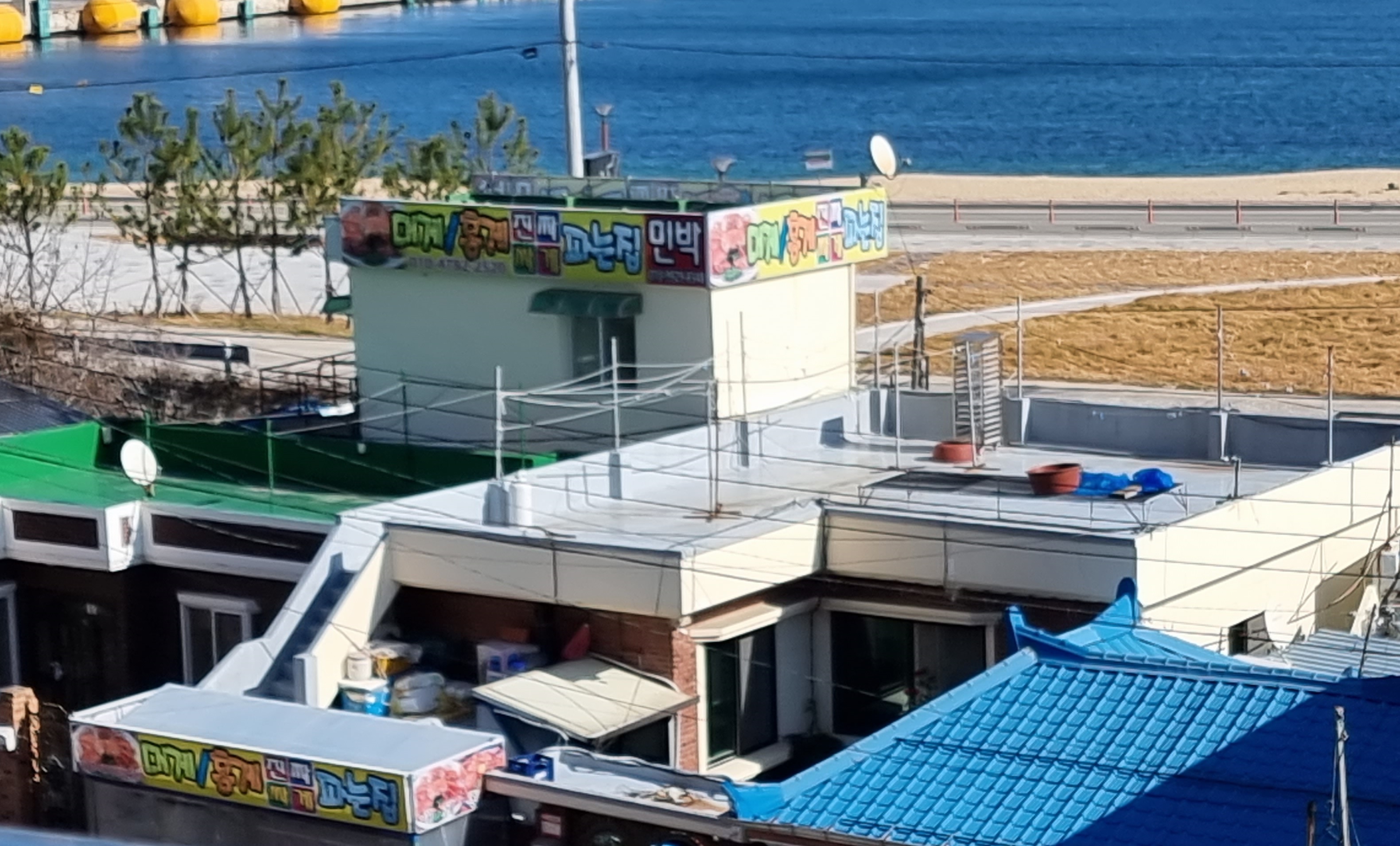 대게홍게진짜싸게파는집