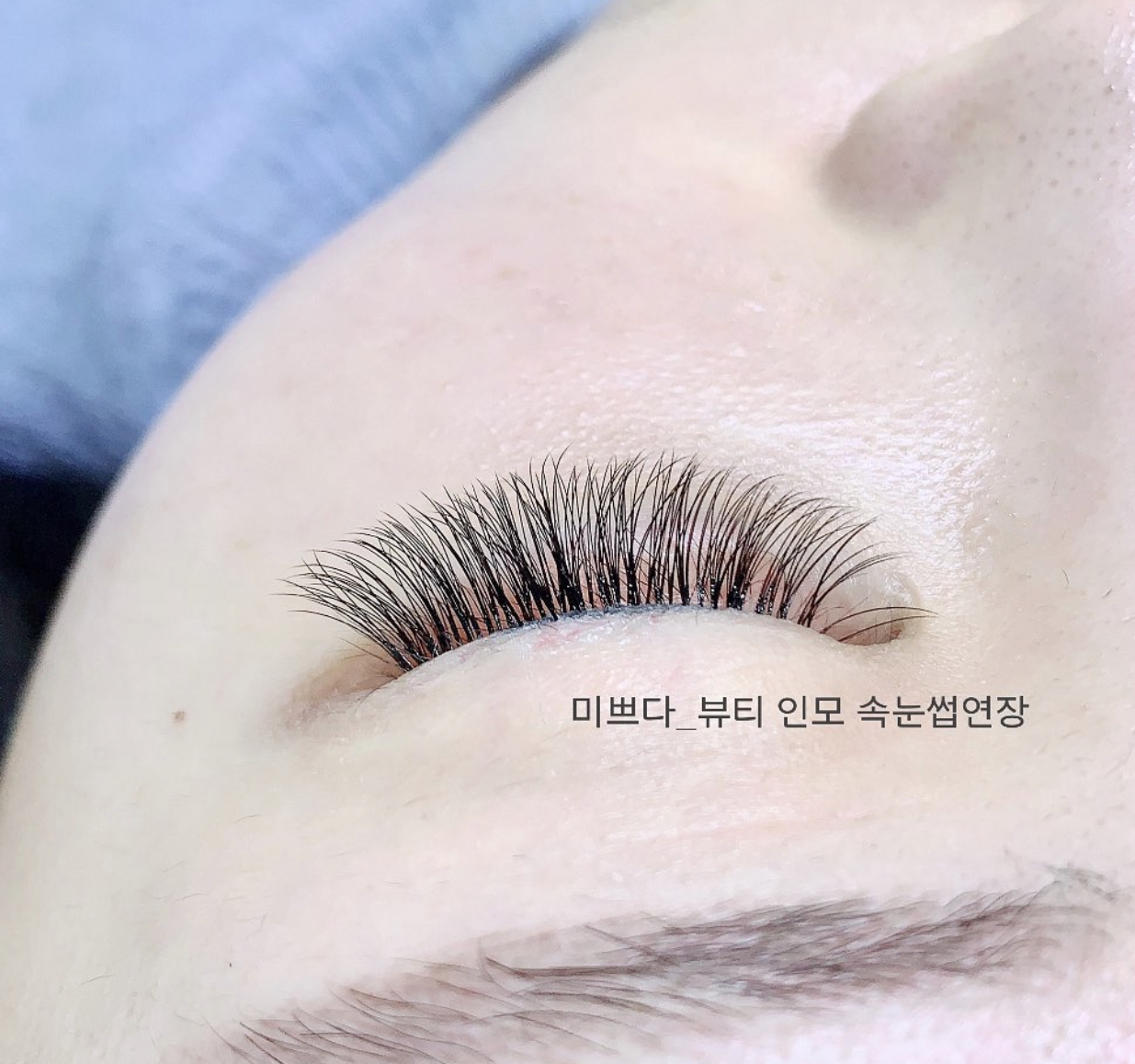 미쁘다 셀비아