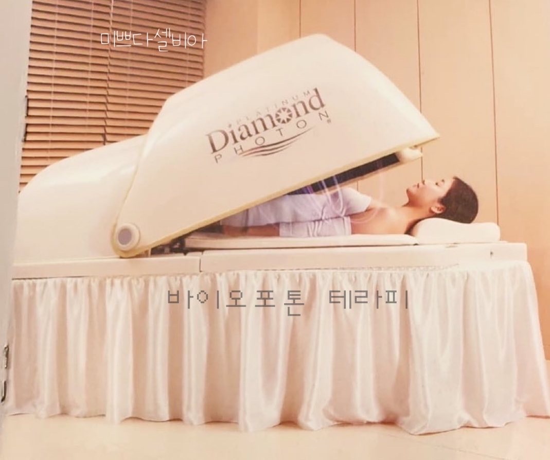 미쁘다 셀비아