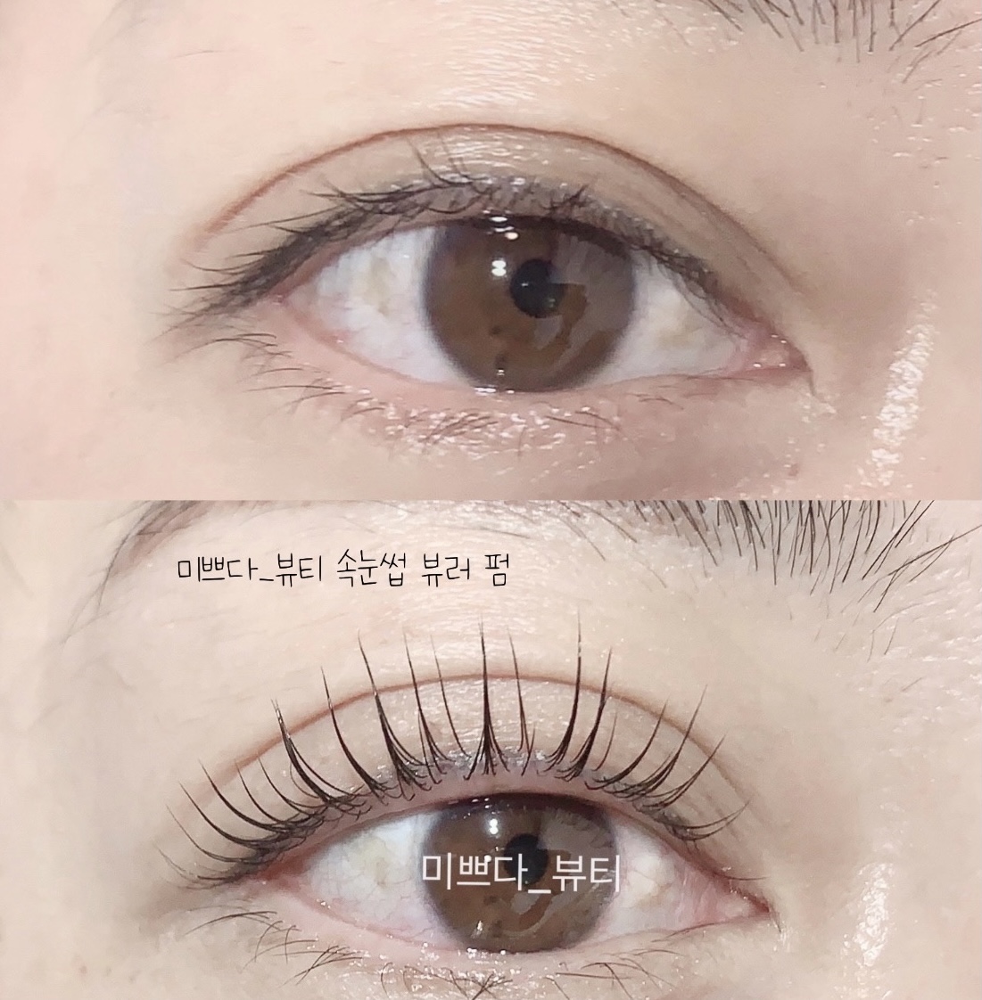 미쁘다 셀비아