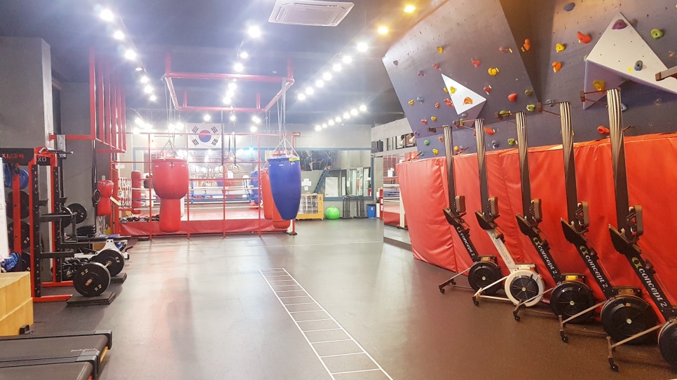 경기도 안산시 상록구 복싱체육관 브리드 복싱GYM 내부 모습 3