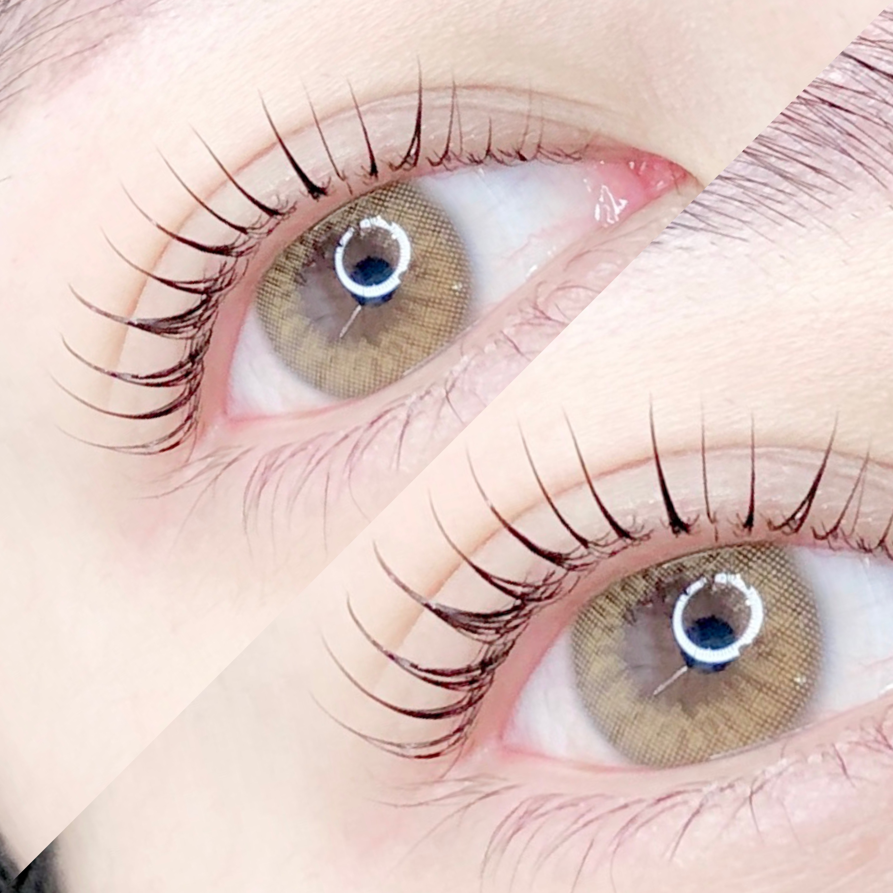 늘래쉬 시흥능곡속눈썹 대표 이미지