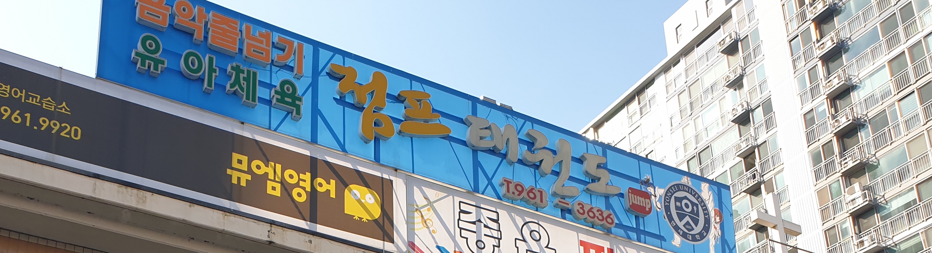 연세대 점프태권도