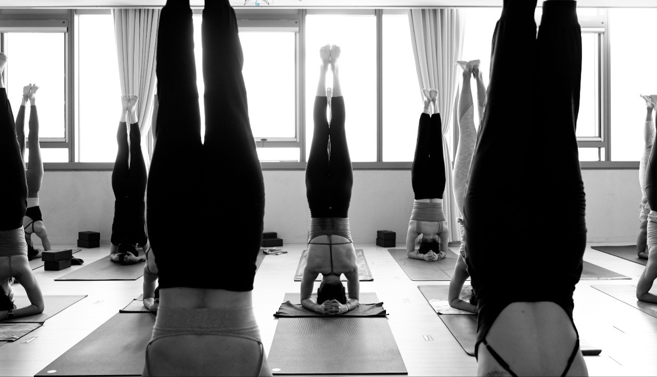 오늘도요가앤필라테스 대표 이미지