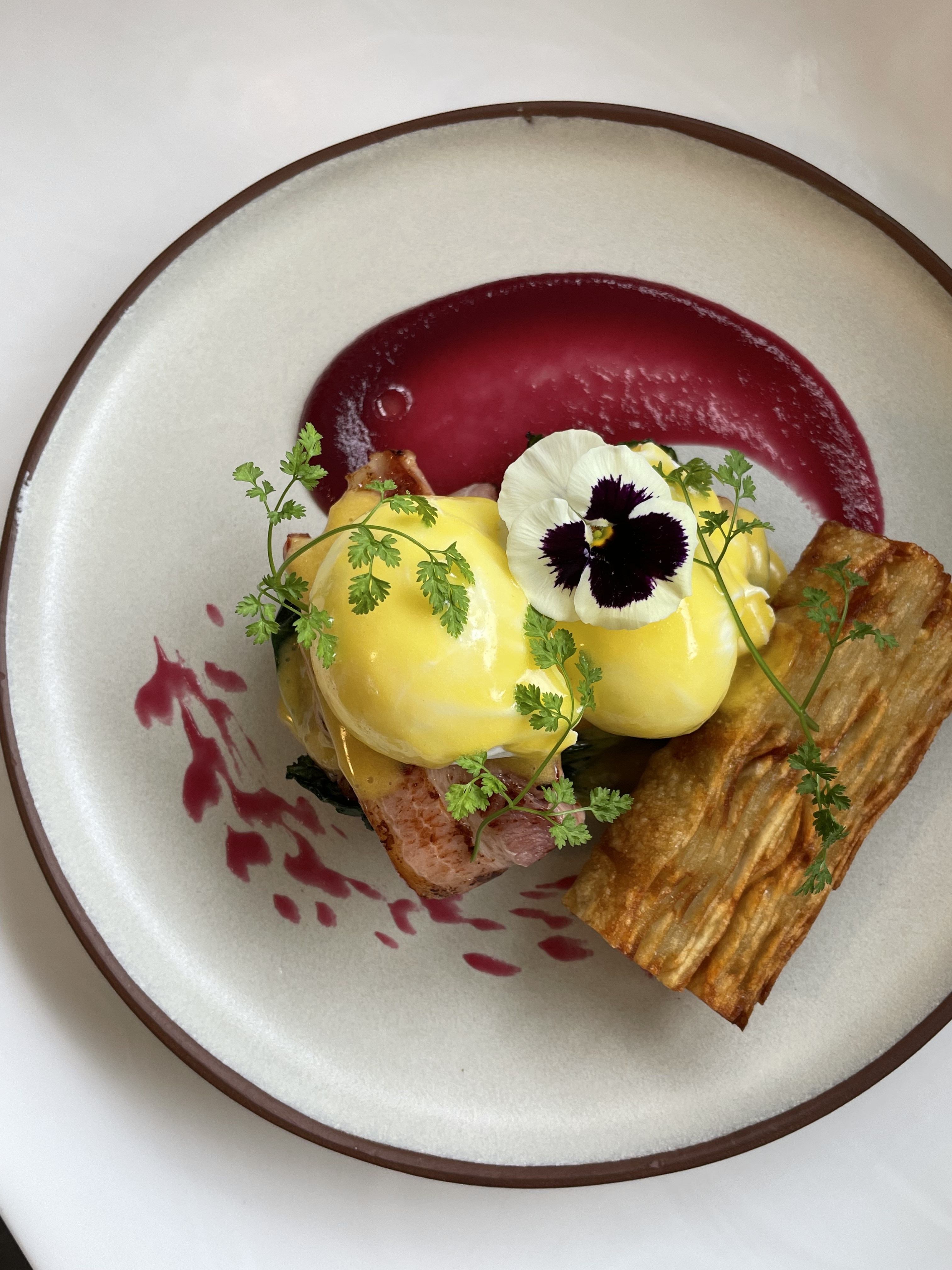 얼브라운 대표 이미지