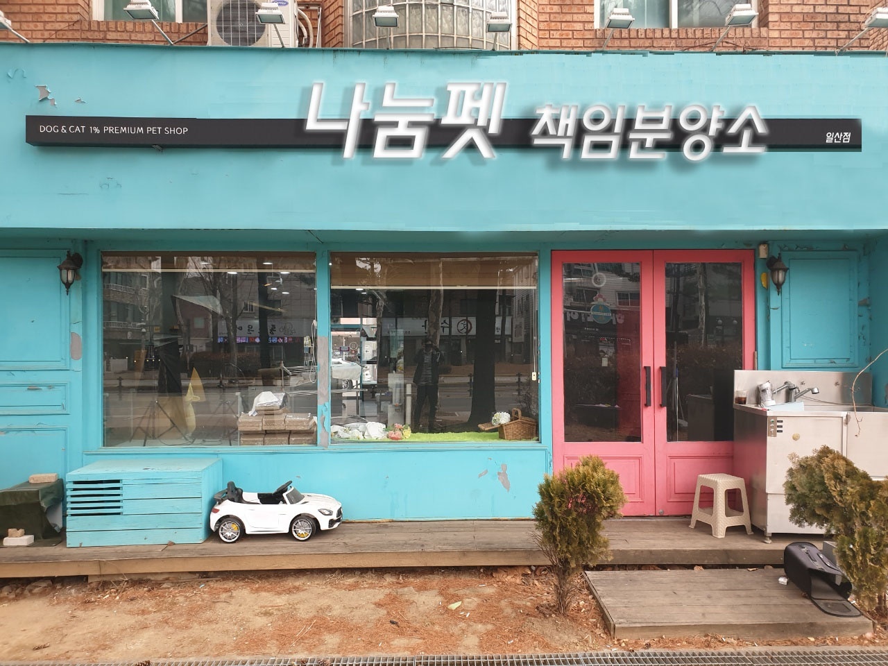 나눔펫 책임분양소 강아지분양 일산점