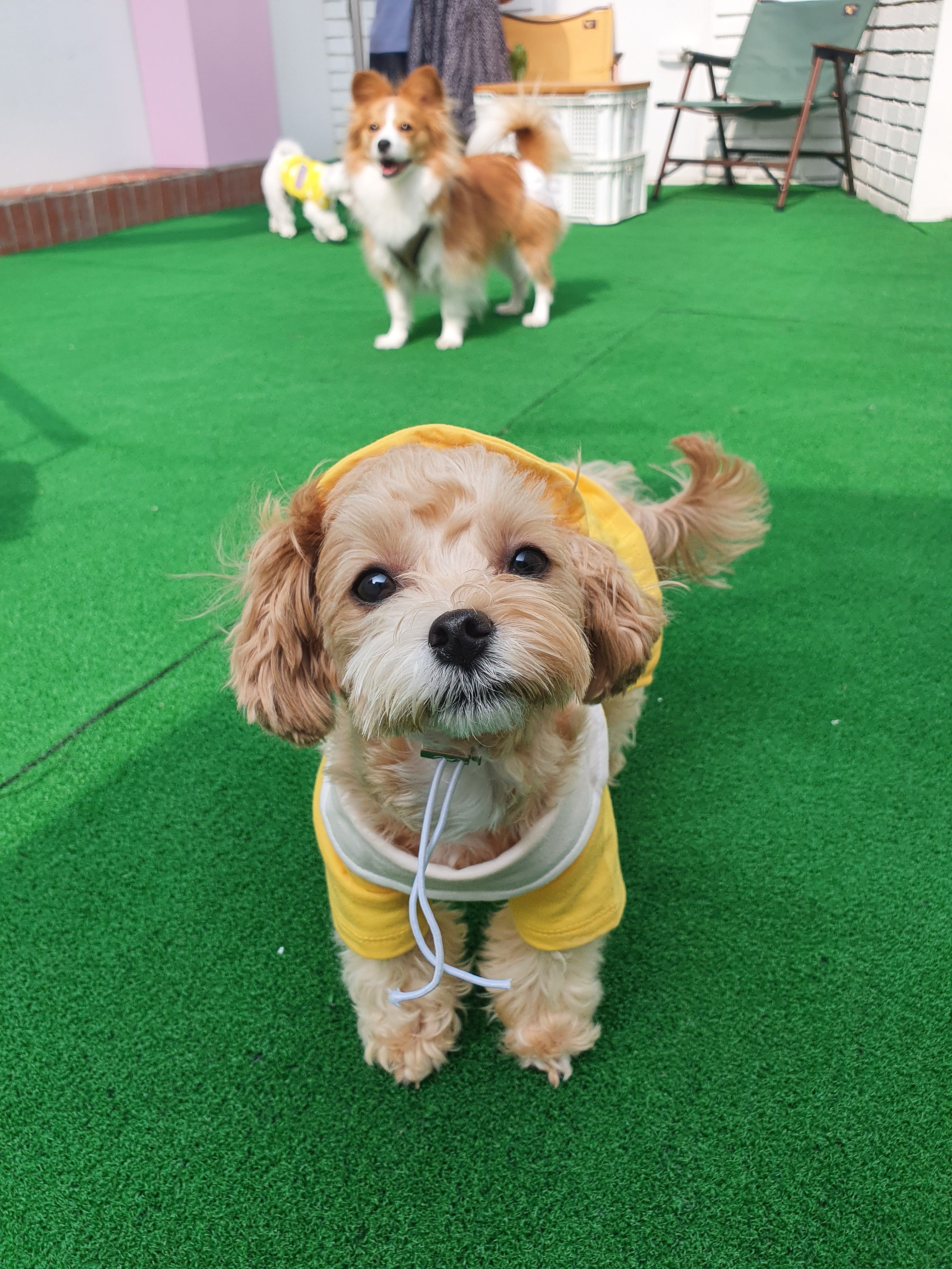 주변 가볼만한 곳