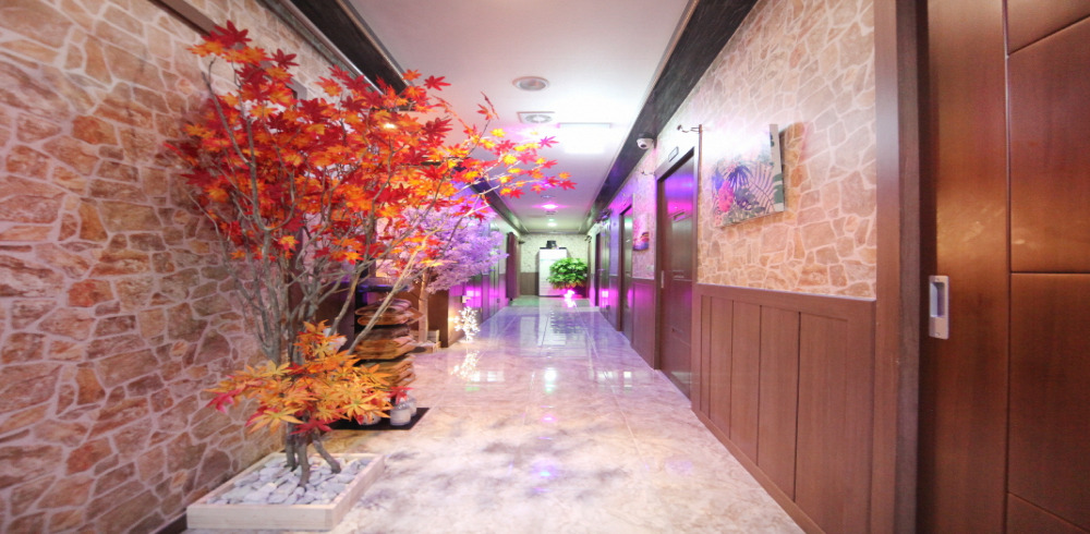 웰빙테라피 photo 3