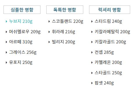 나무의꿈