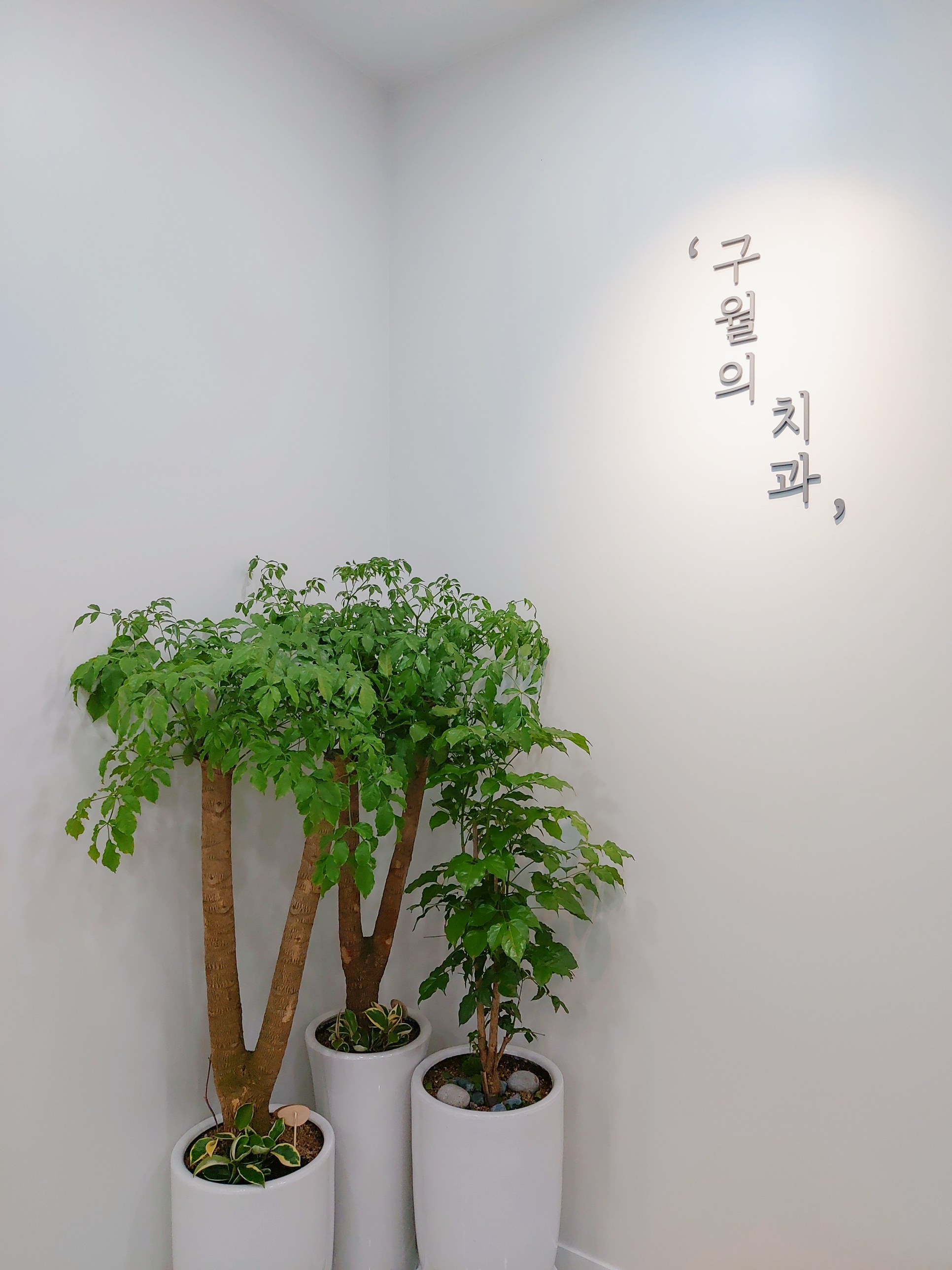 구월의치과의원 대표 이미지