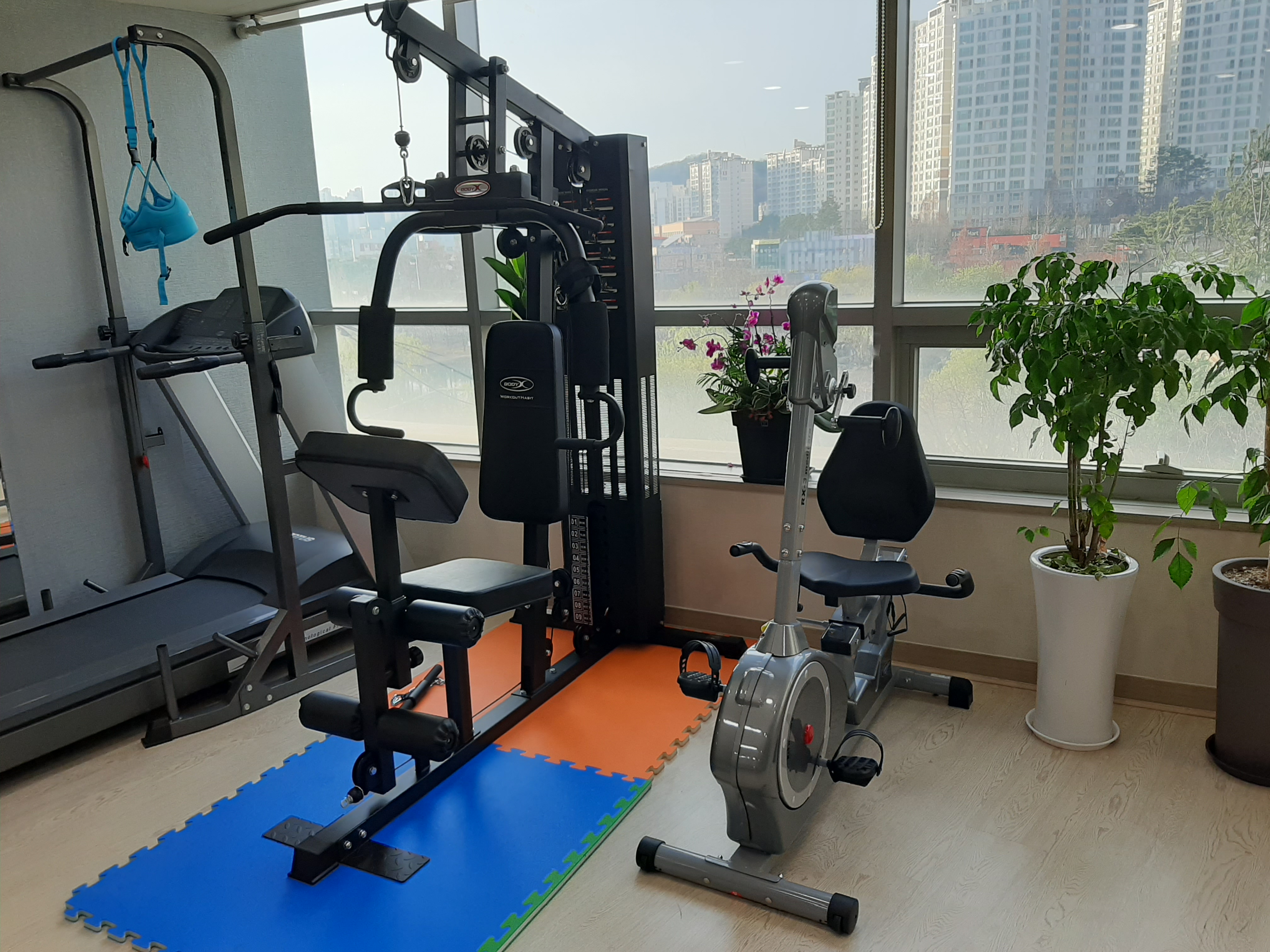 에스에프피지오운동발달연구소