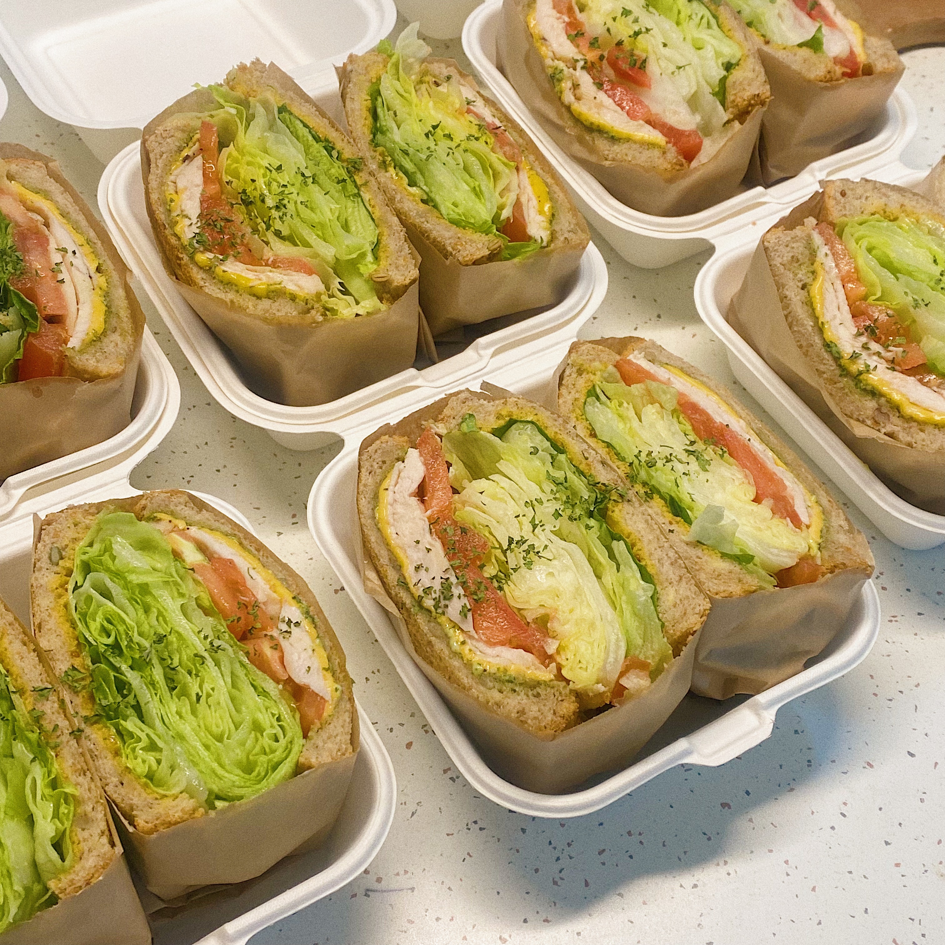 리틀버터 경상 애견맛집