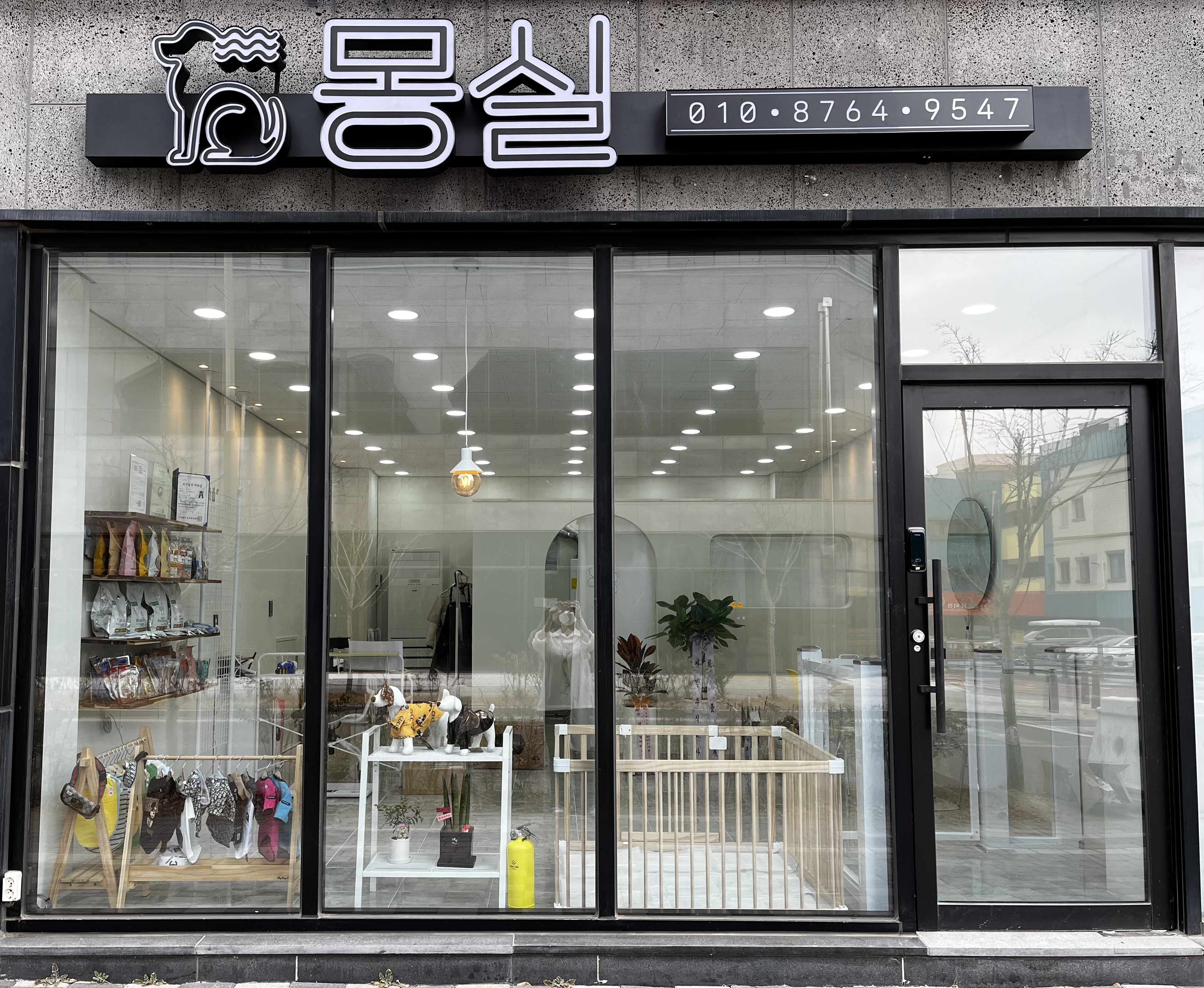 몽실