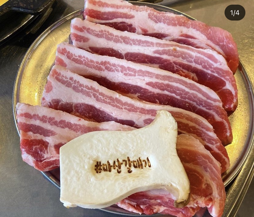 마산갈매기