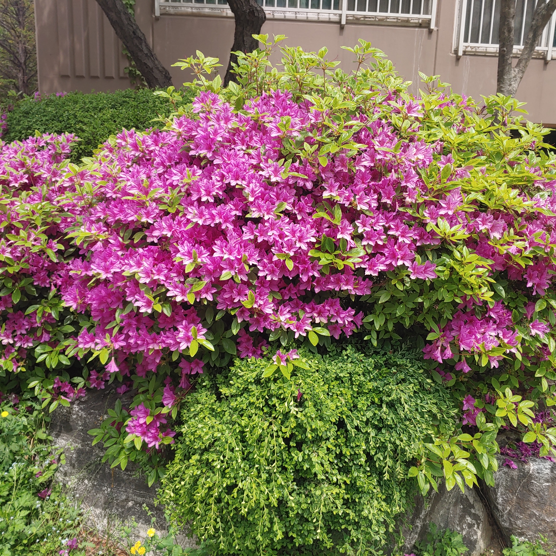 우수관고압세척 대표 이미지