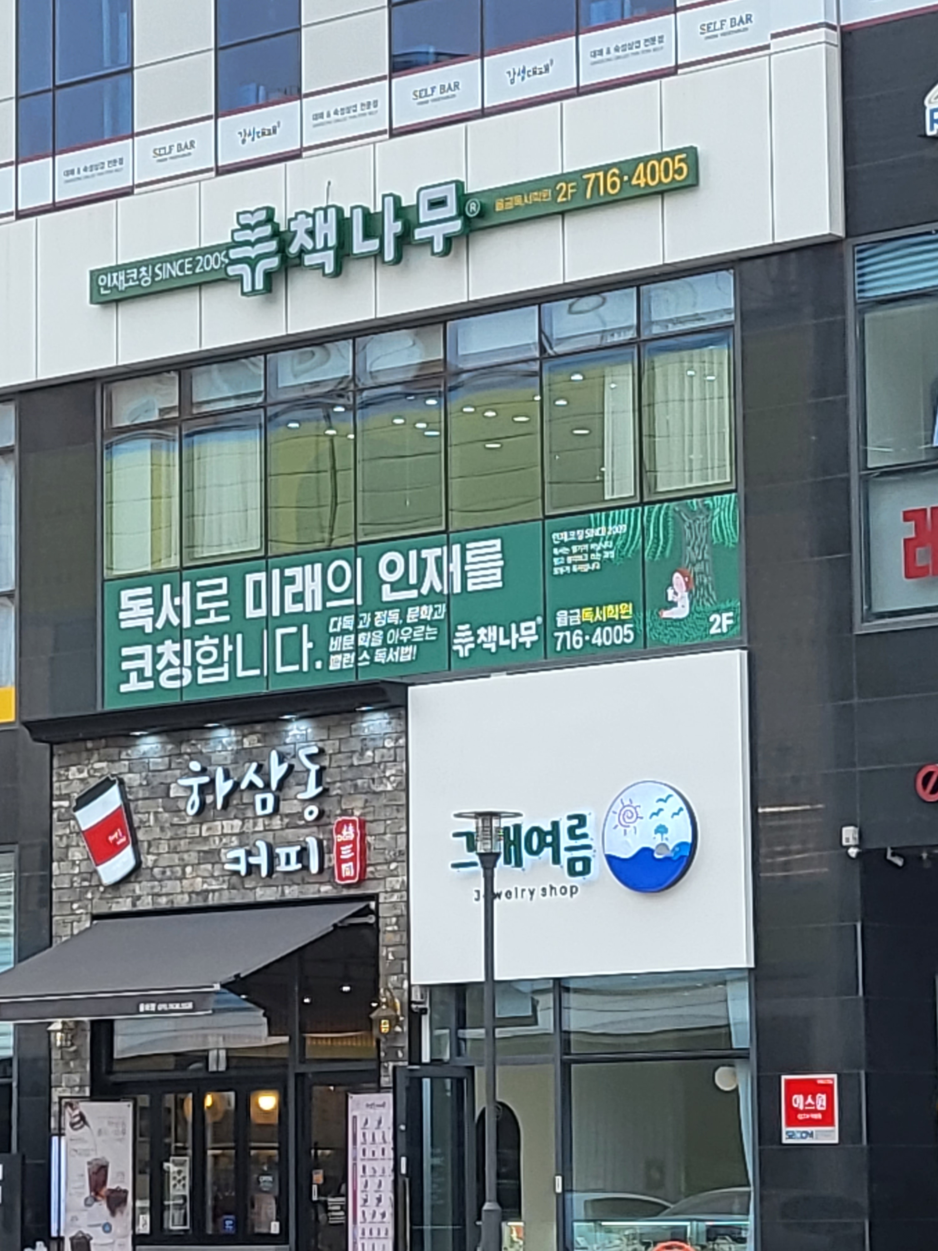 책나무율금점