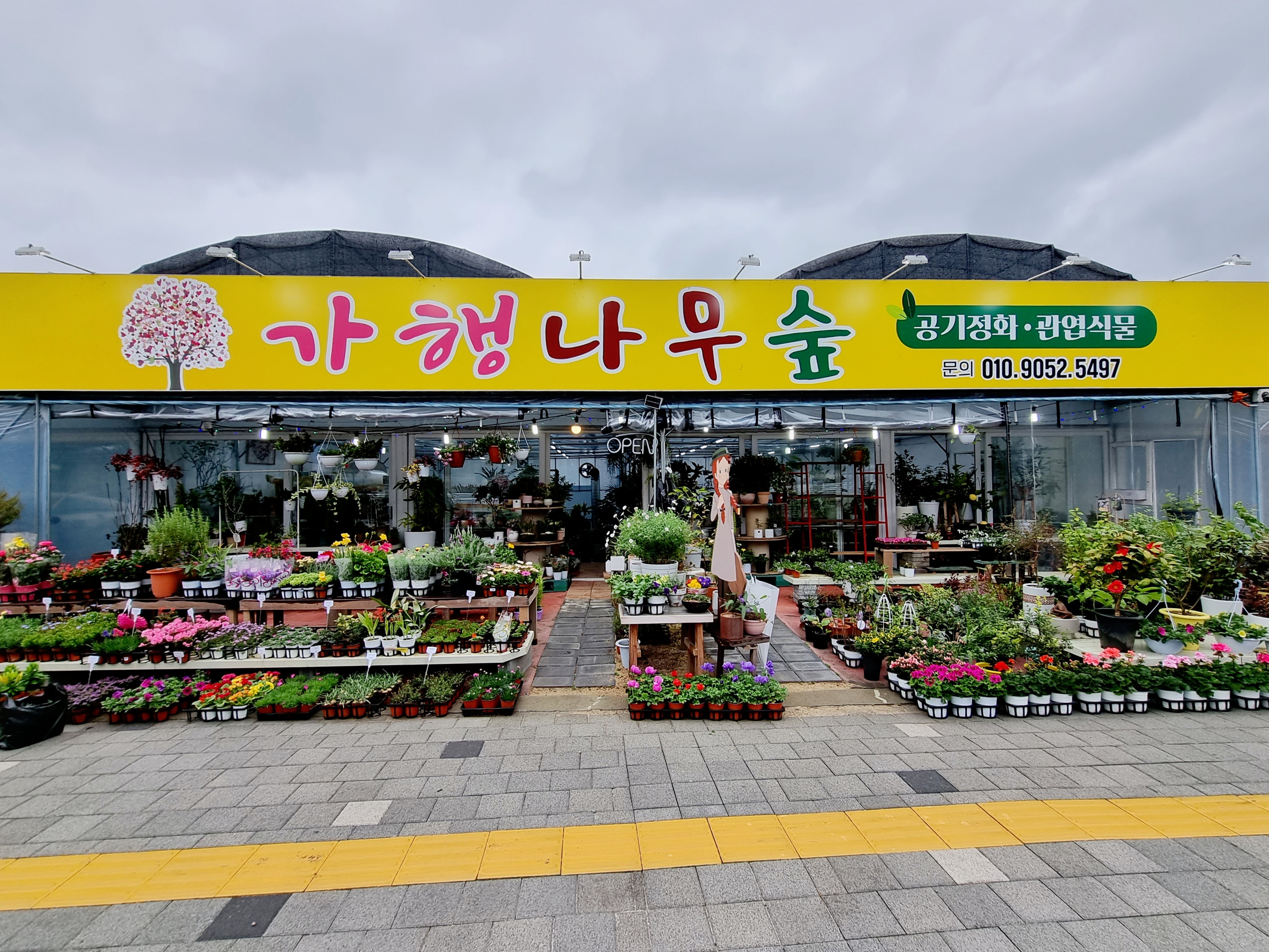 가행나무숲