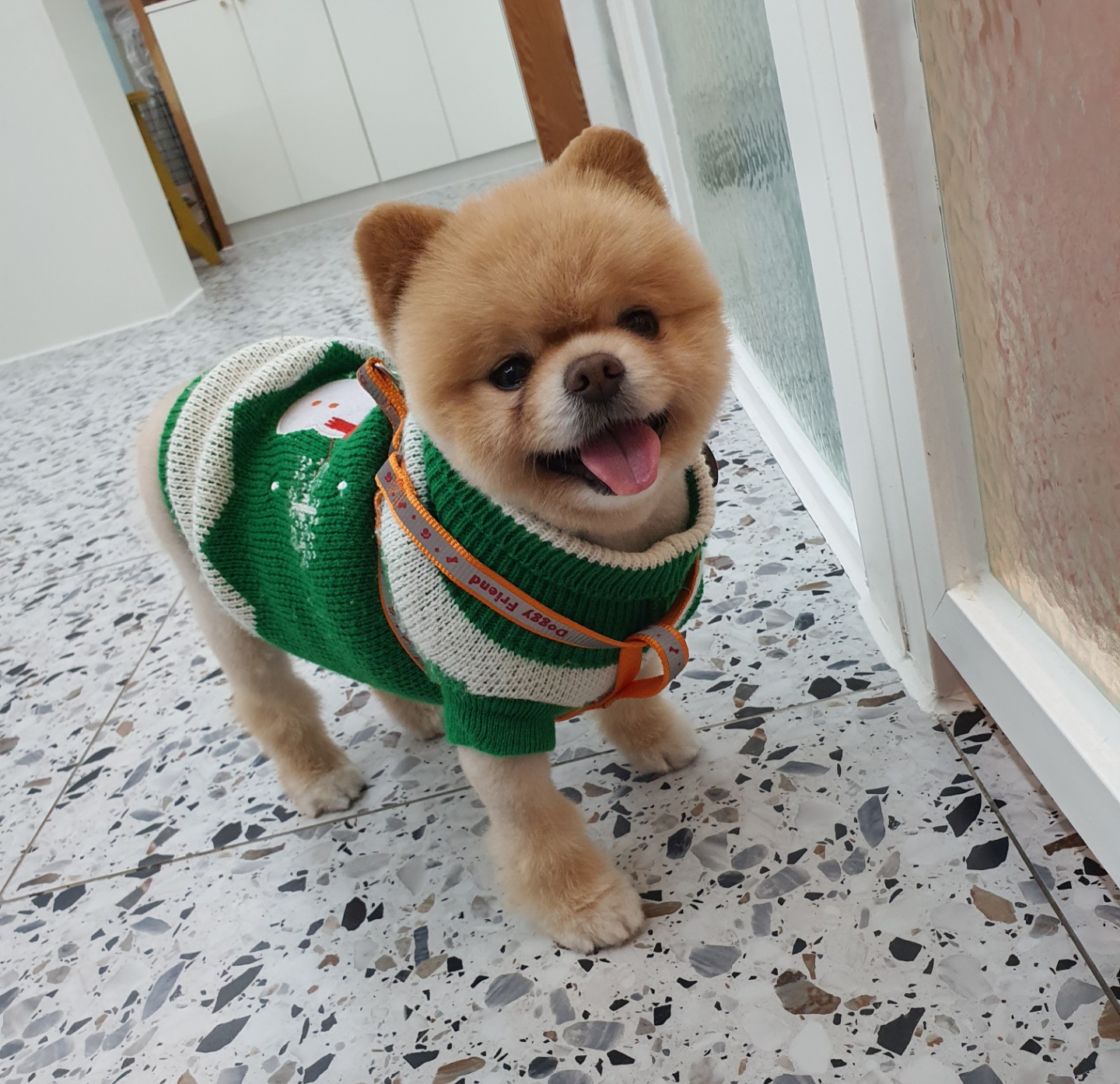 고양이세수_설렘 대표 이미지