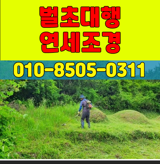 벌초대행 연세조경