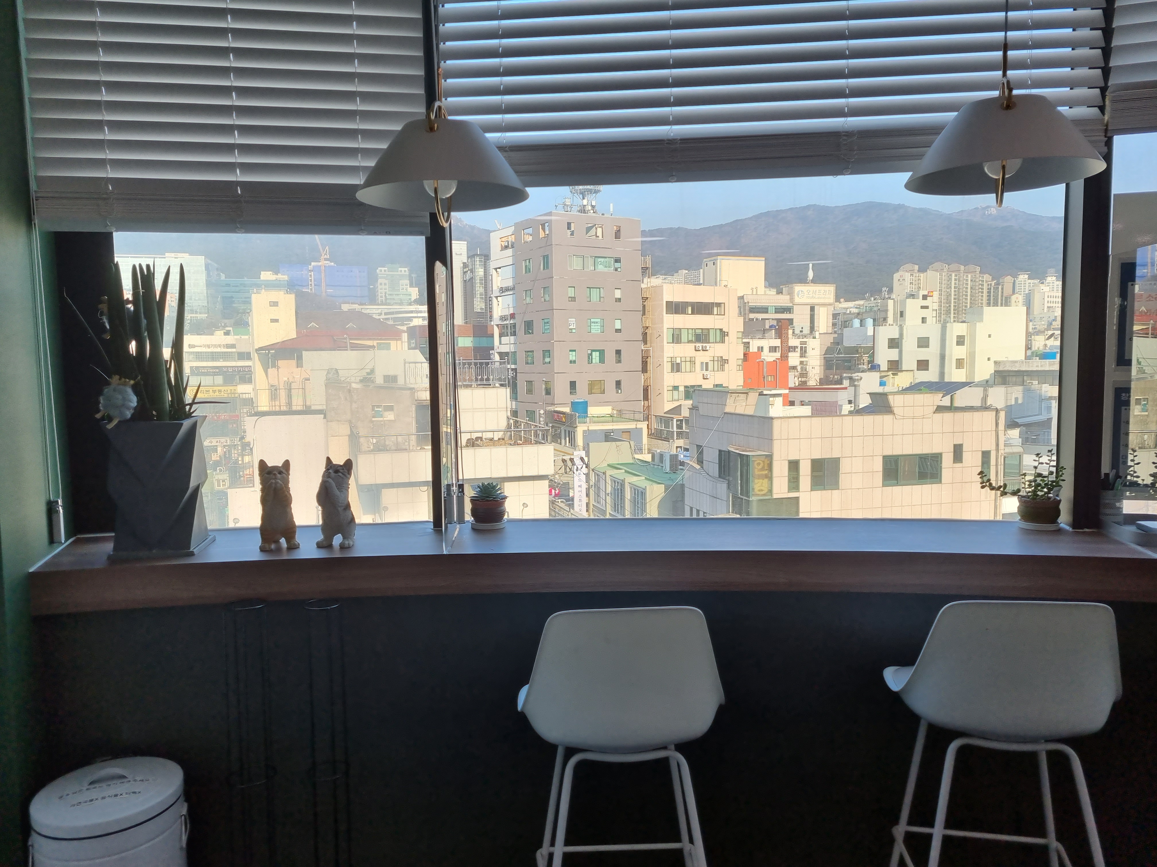 업체사진