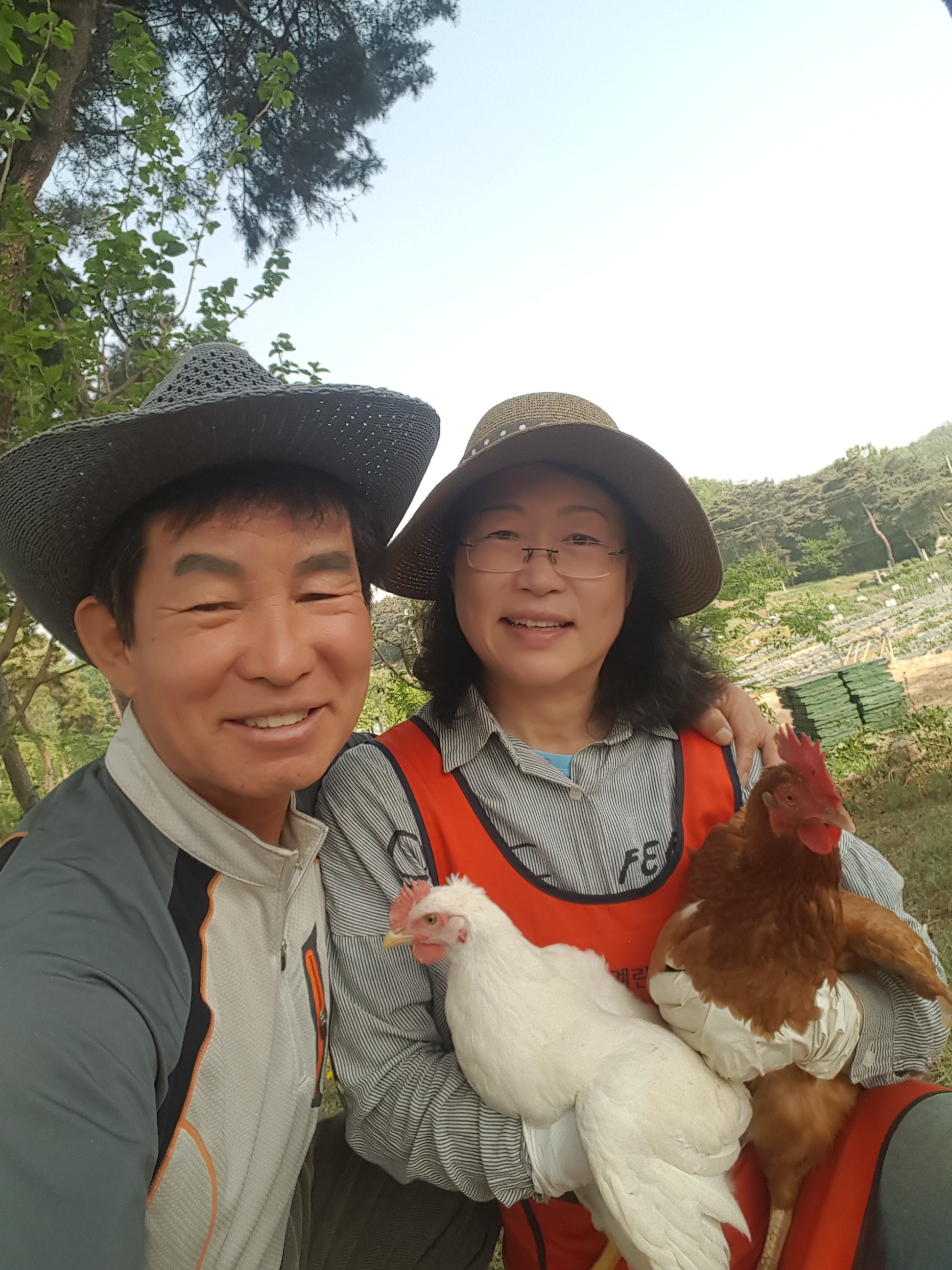 녹색체험휴암주말텃밭농원