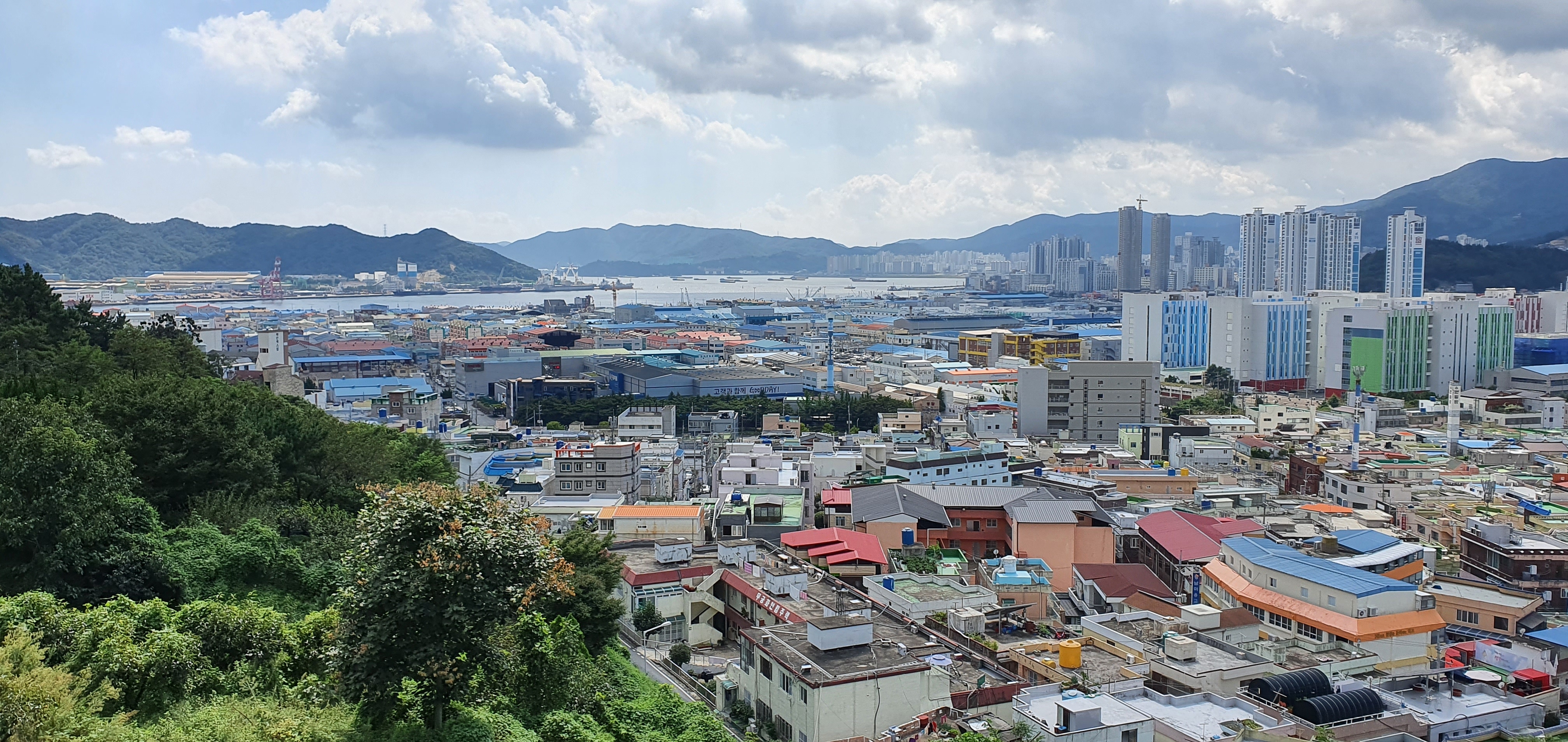 디또