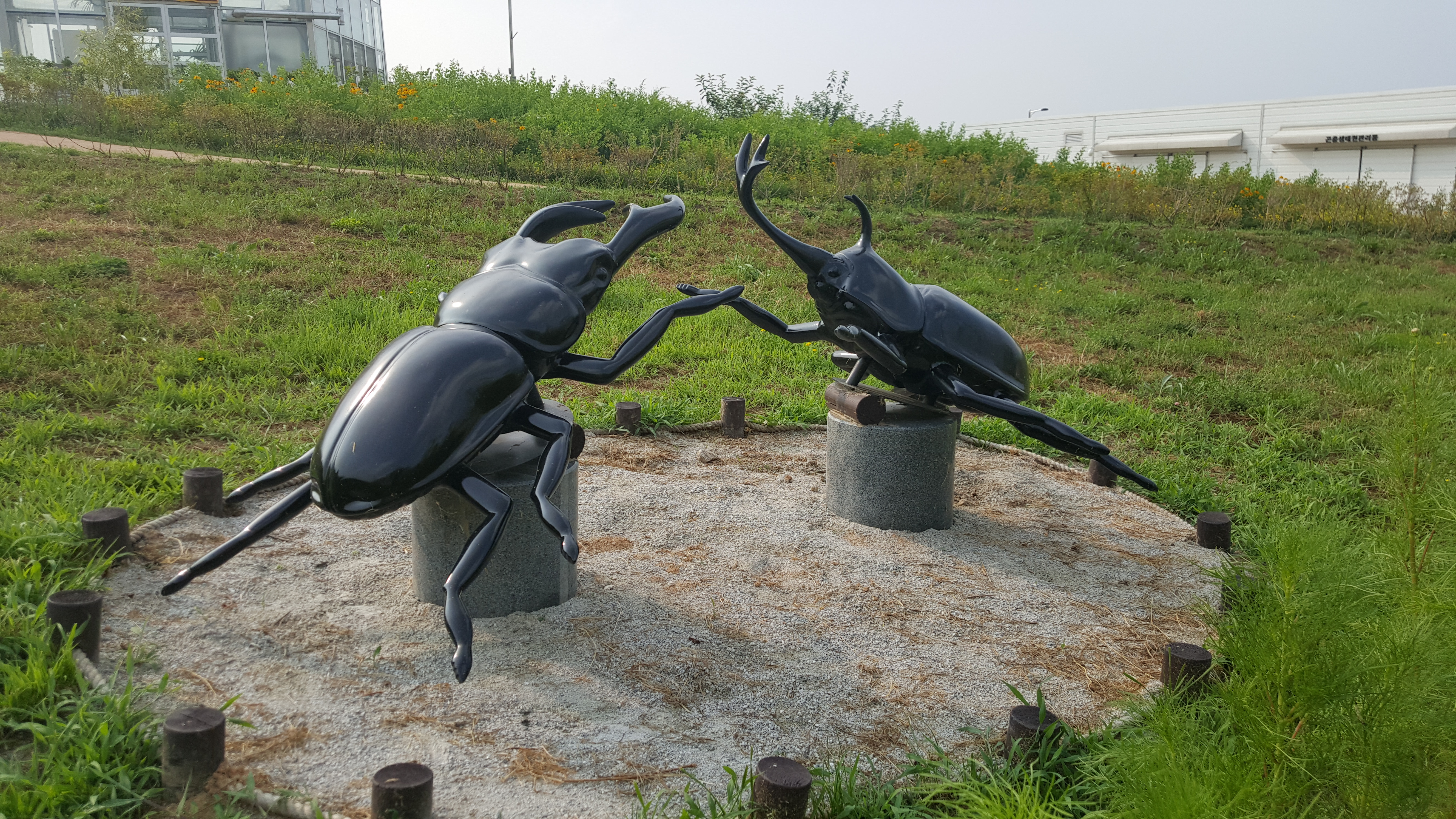 녹색체험휴암주말텃밭농원