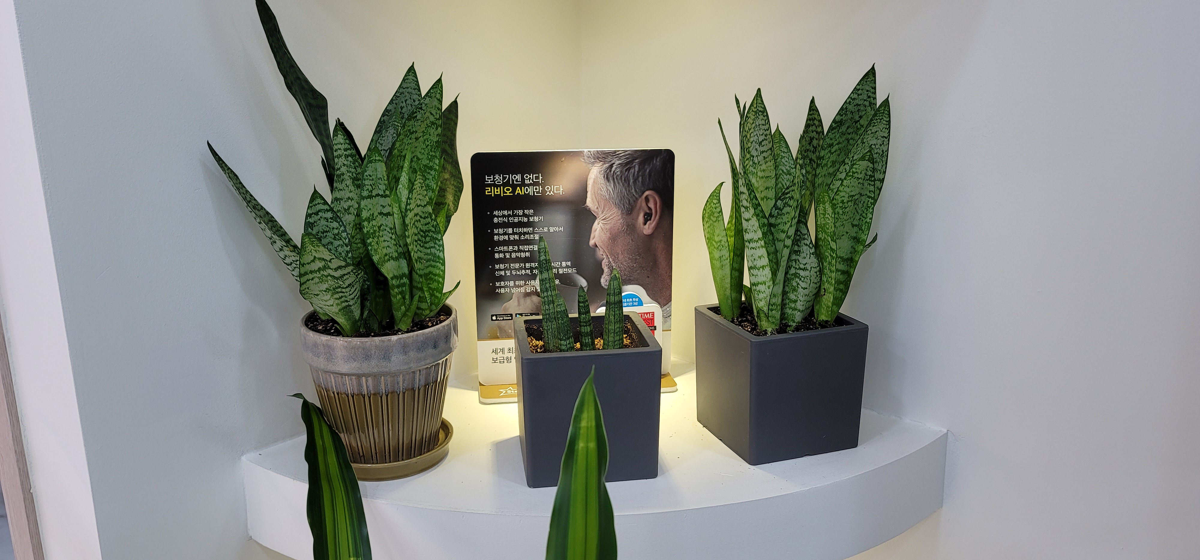 고양일산보청기 대표 이미지