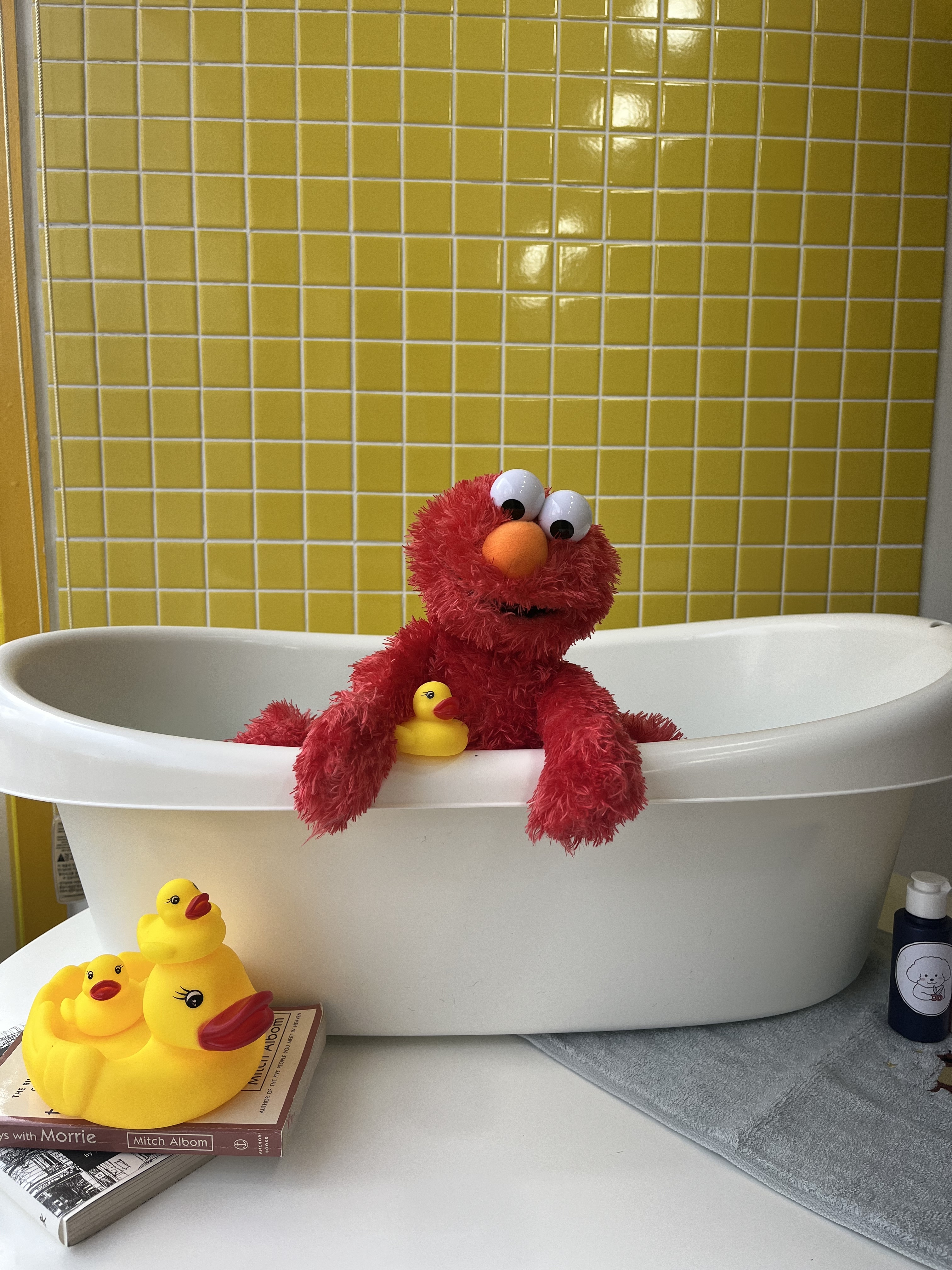 The이쁘개 대표 이미지