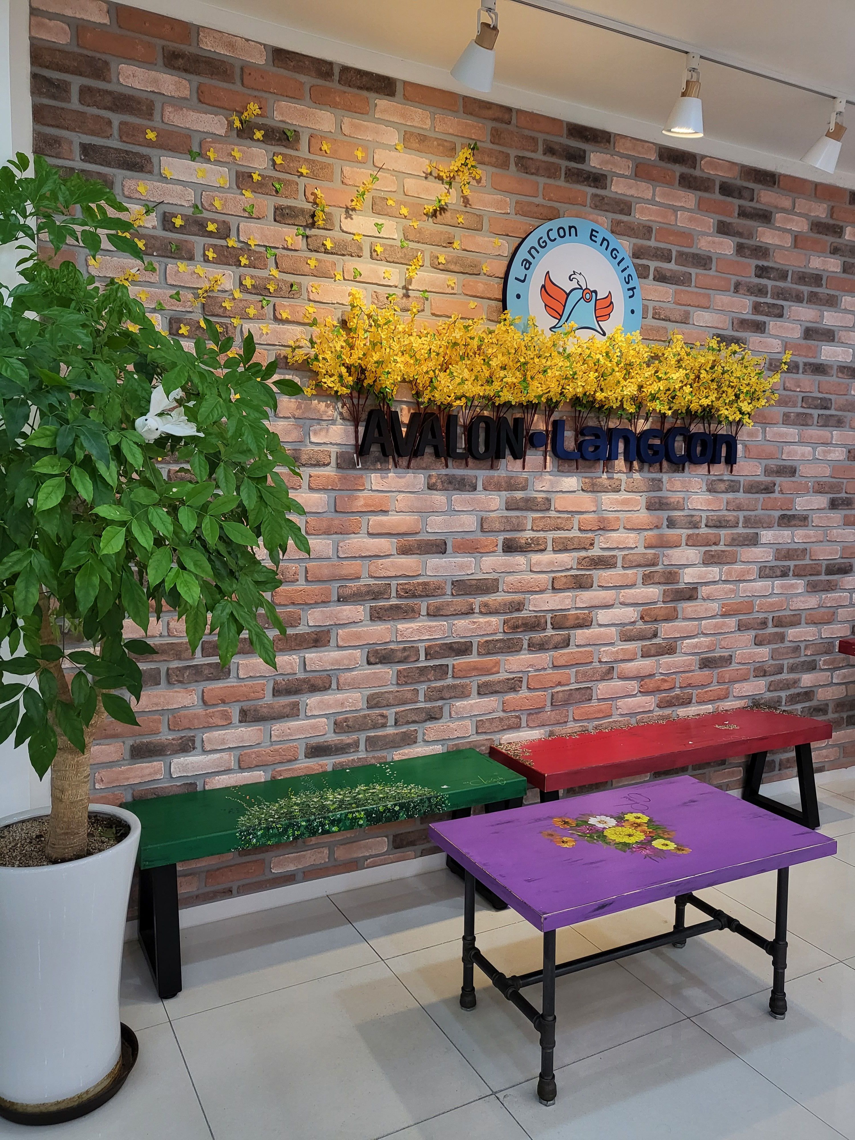 랭콘잉글리쉬 강릉캠퍼스어학원 대표 이미지