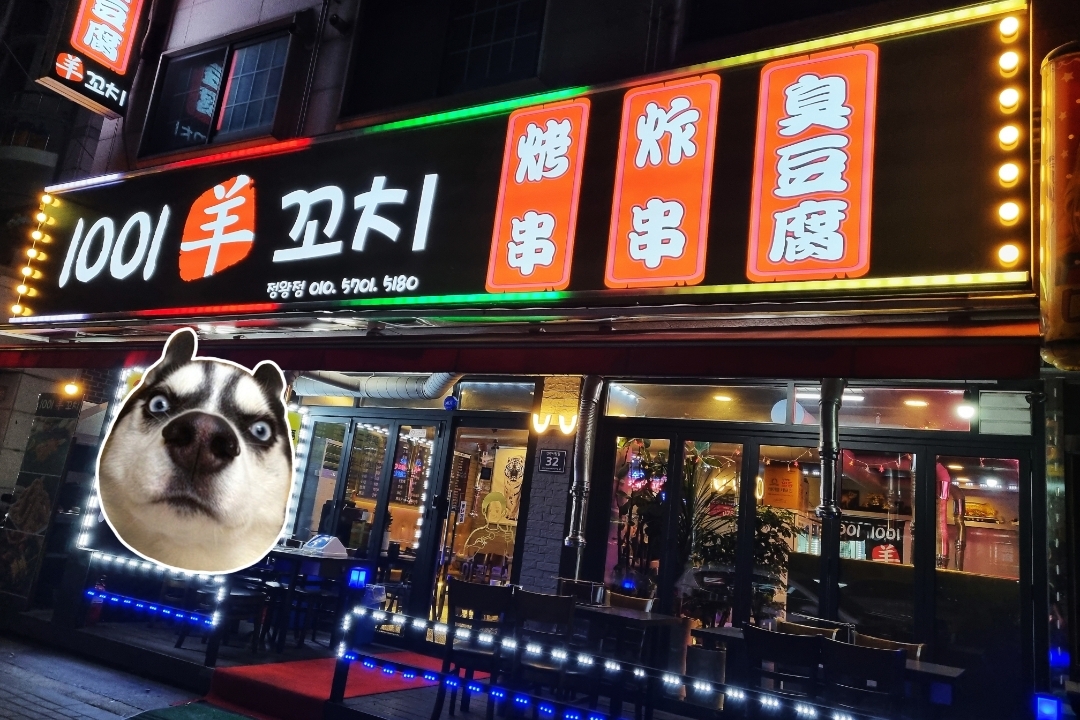 1001양꼬치