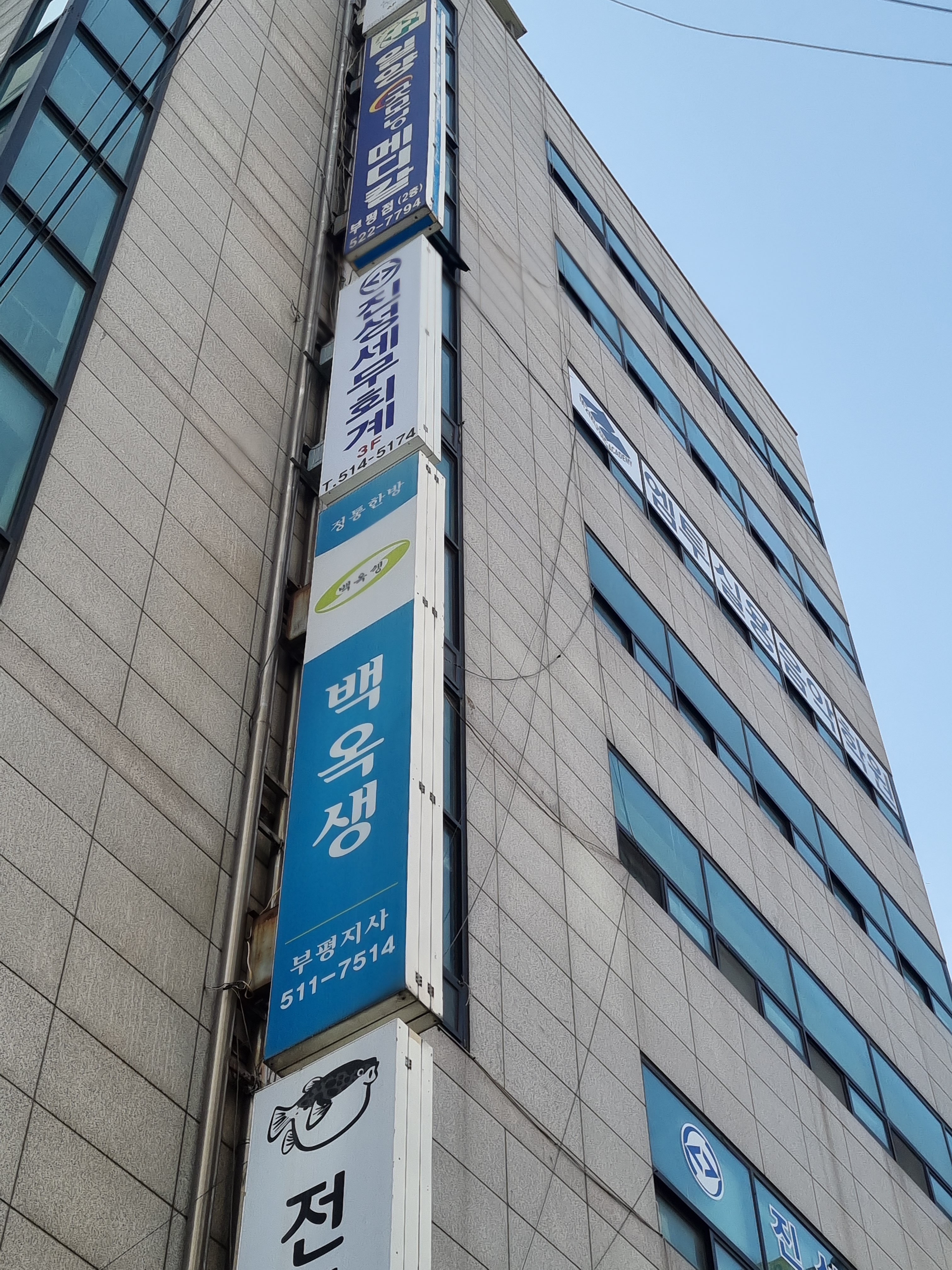 진성세무회계사무소 대표 이미지