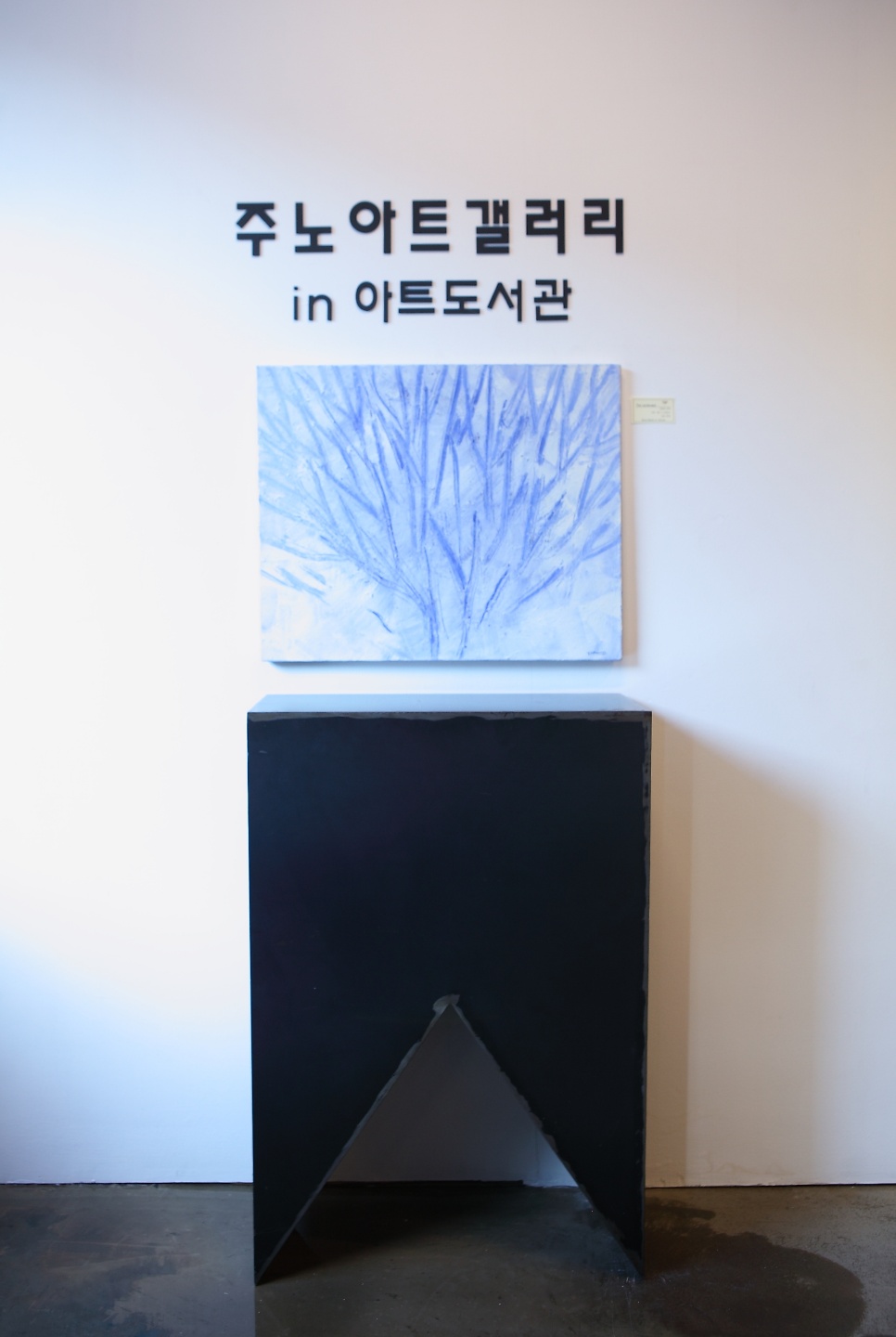 주노아트