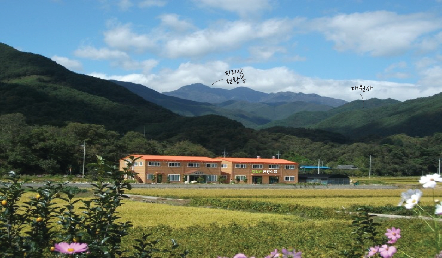 지리산한방식품영농조합법인