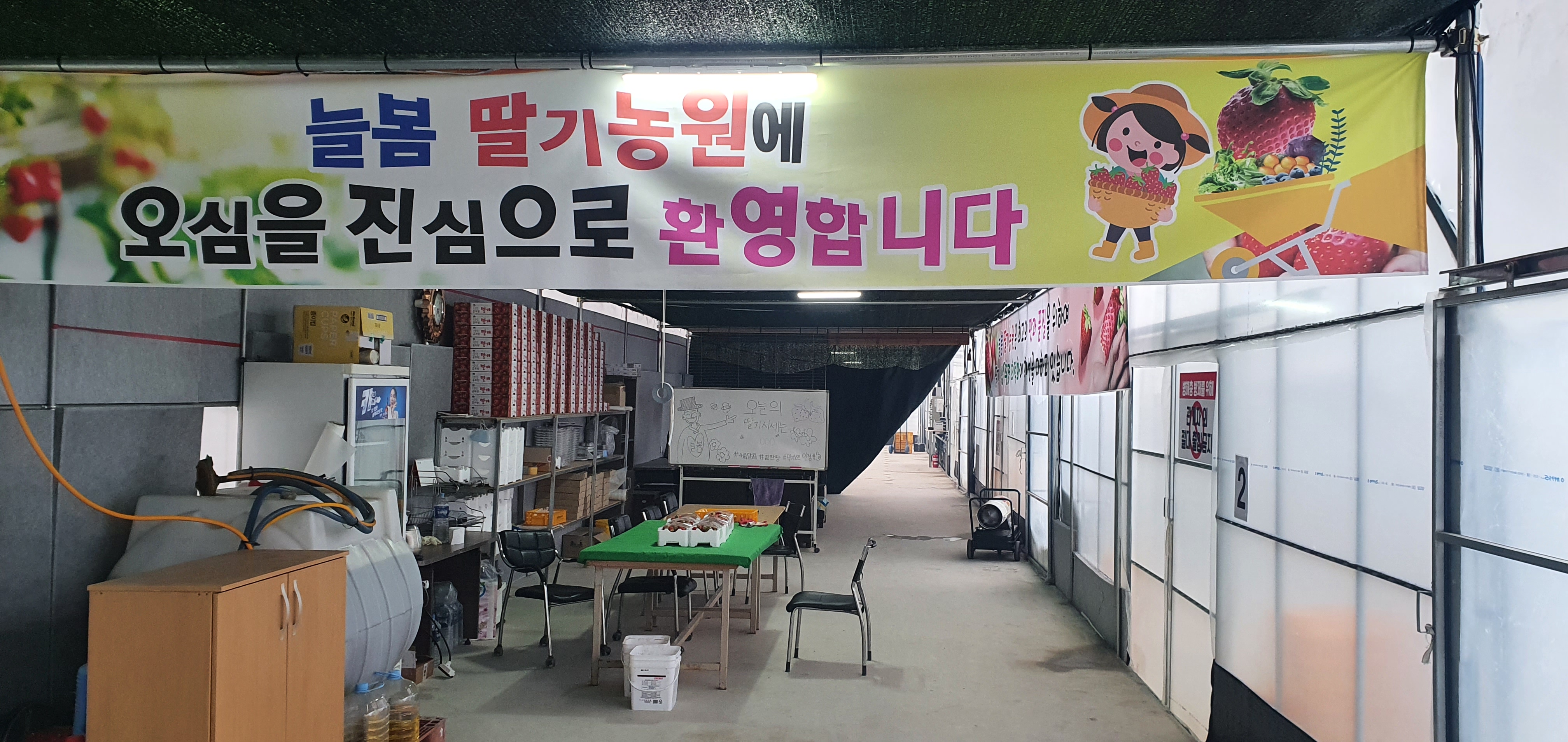 늘봄딸기농원