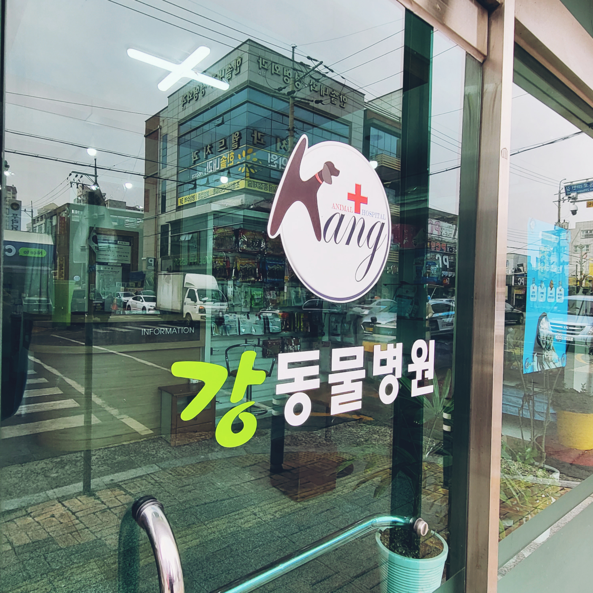 강동물병원 대표 이미지