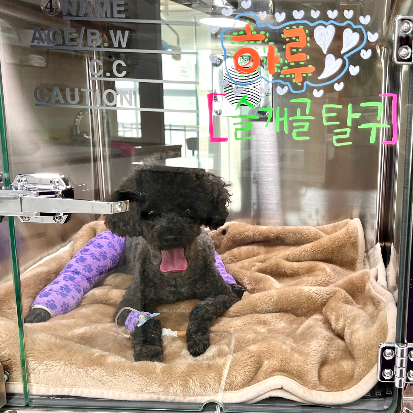 필유동물메디컬센터 대표 이미지