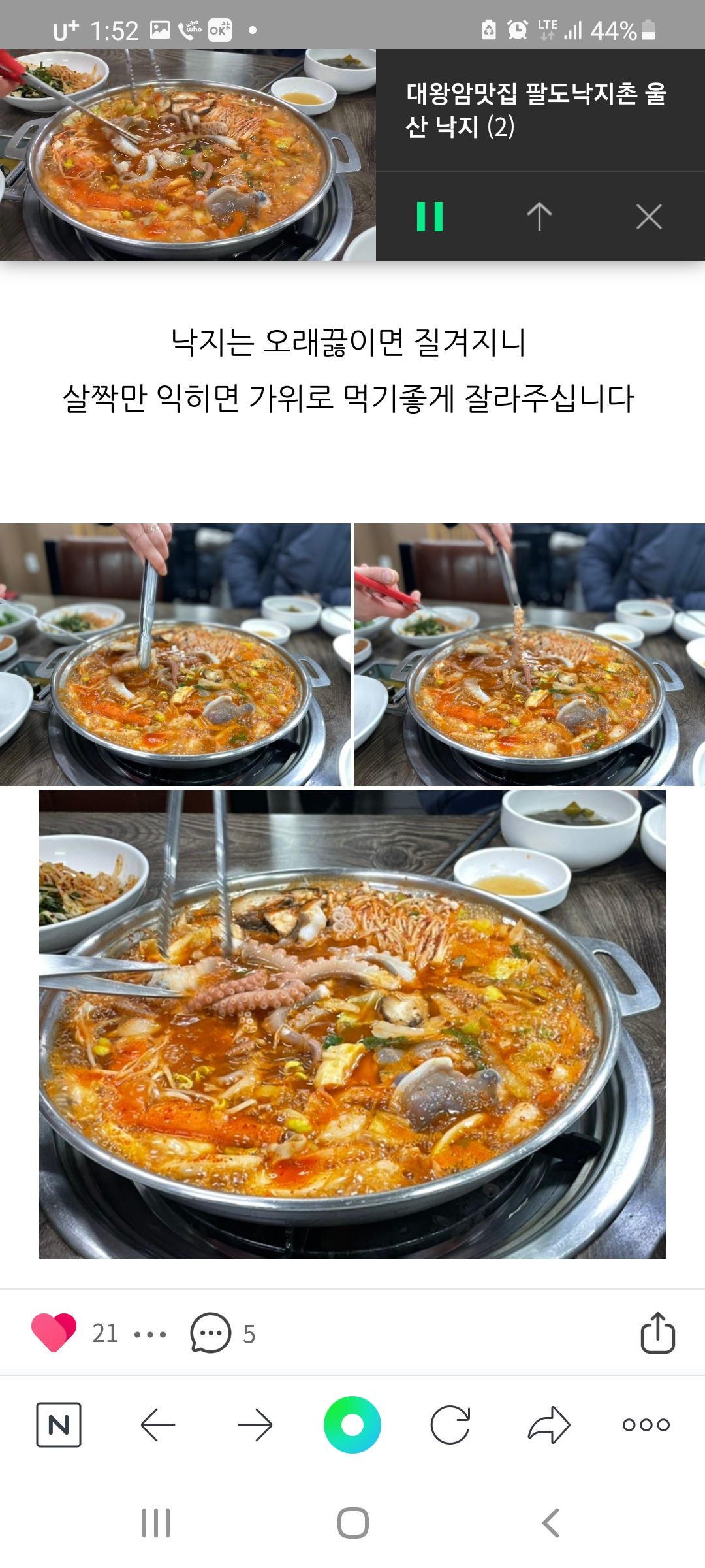 팔도낙지촌 울산동구 대왕암점