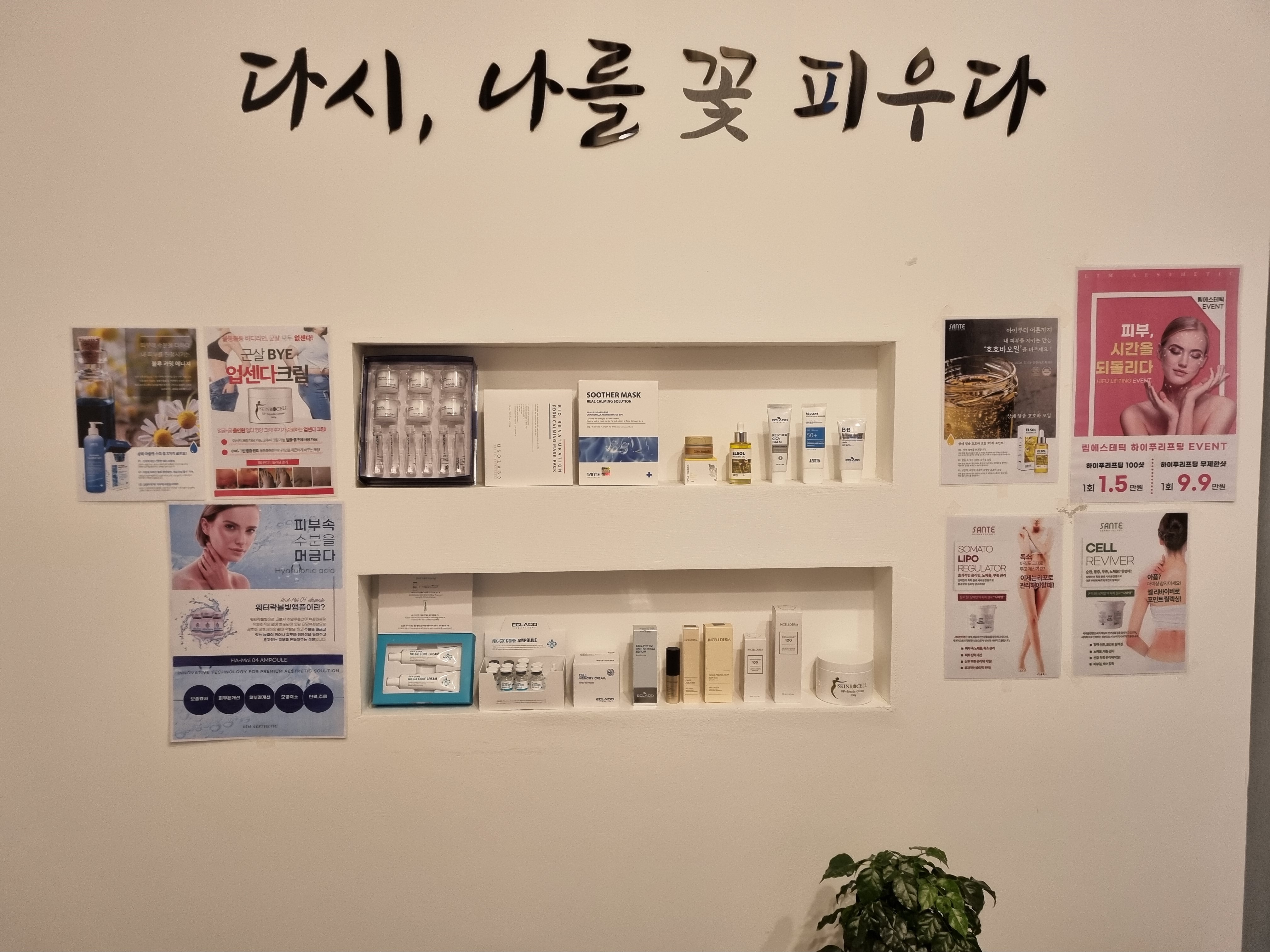 림에스테틱 대표 이미지