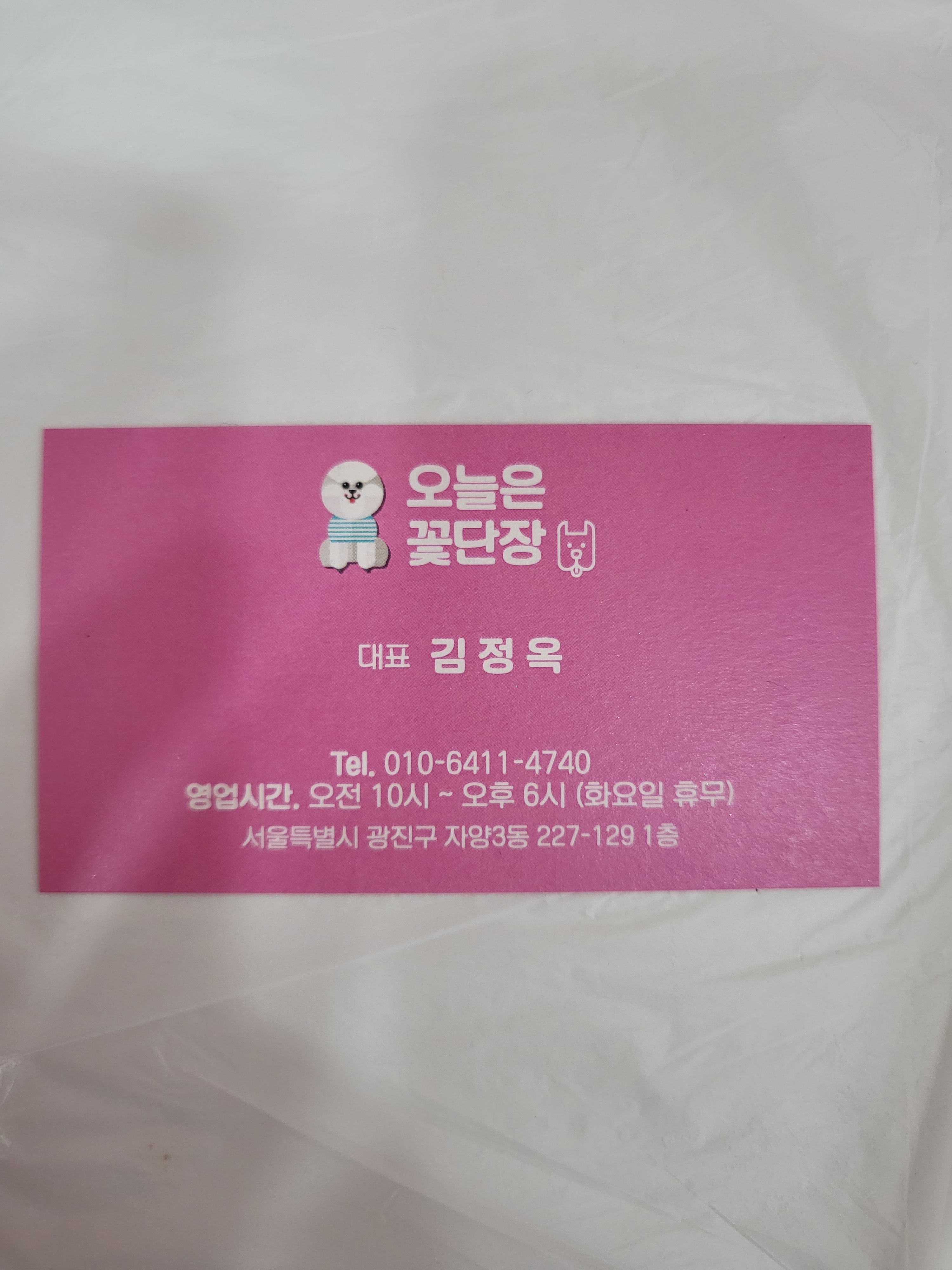 오늘은꽃단장
