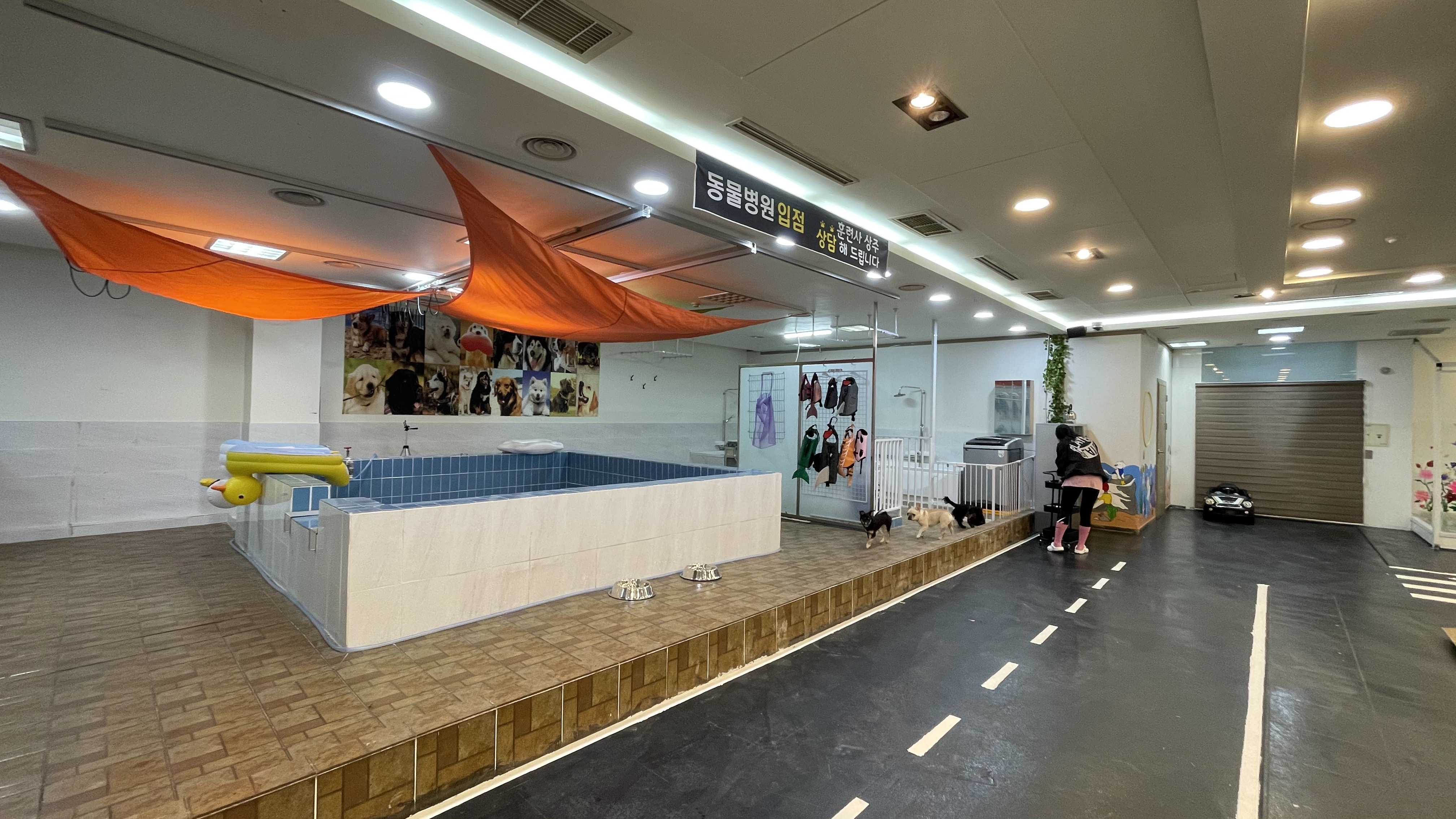 젠틀펫 대표 이미지
