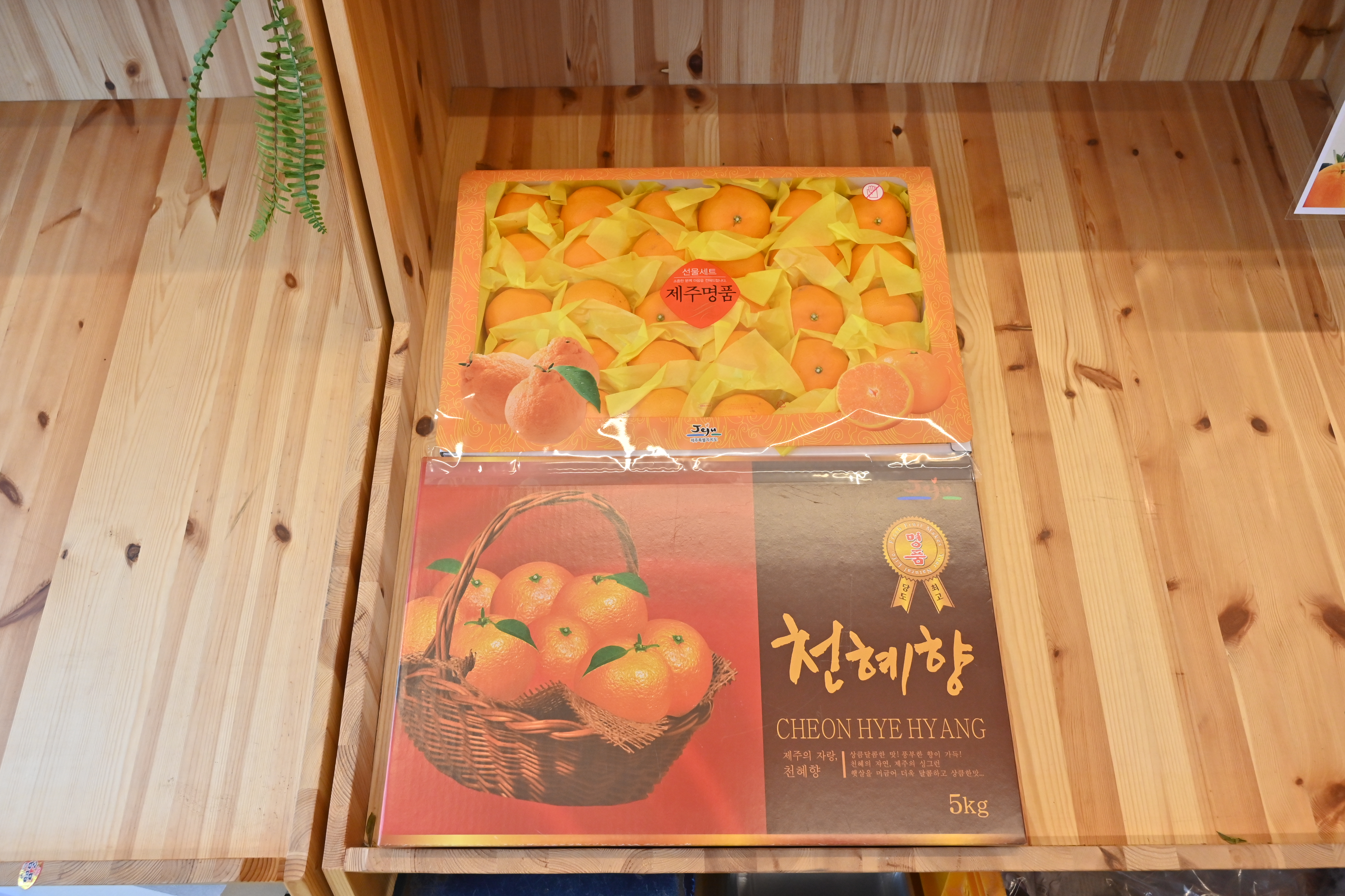 선물고팡 제주소품샵 공항점 대표 이미지