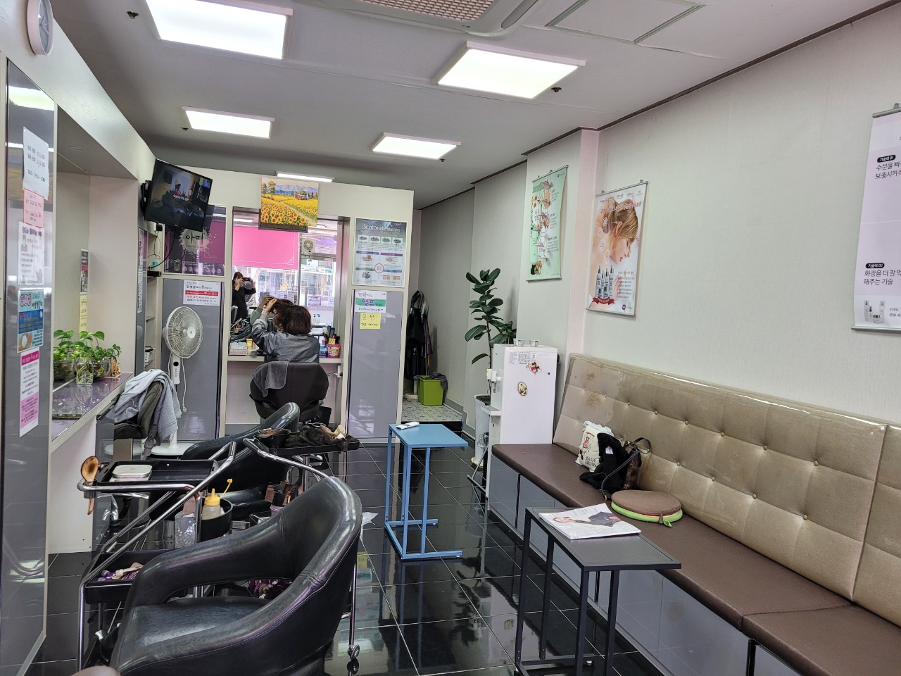 구피샵 마산회원점