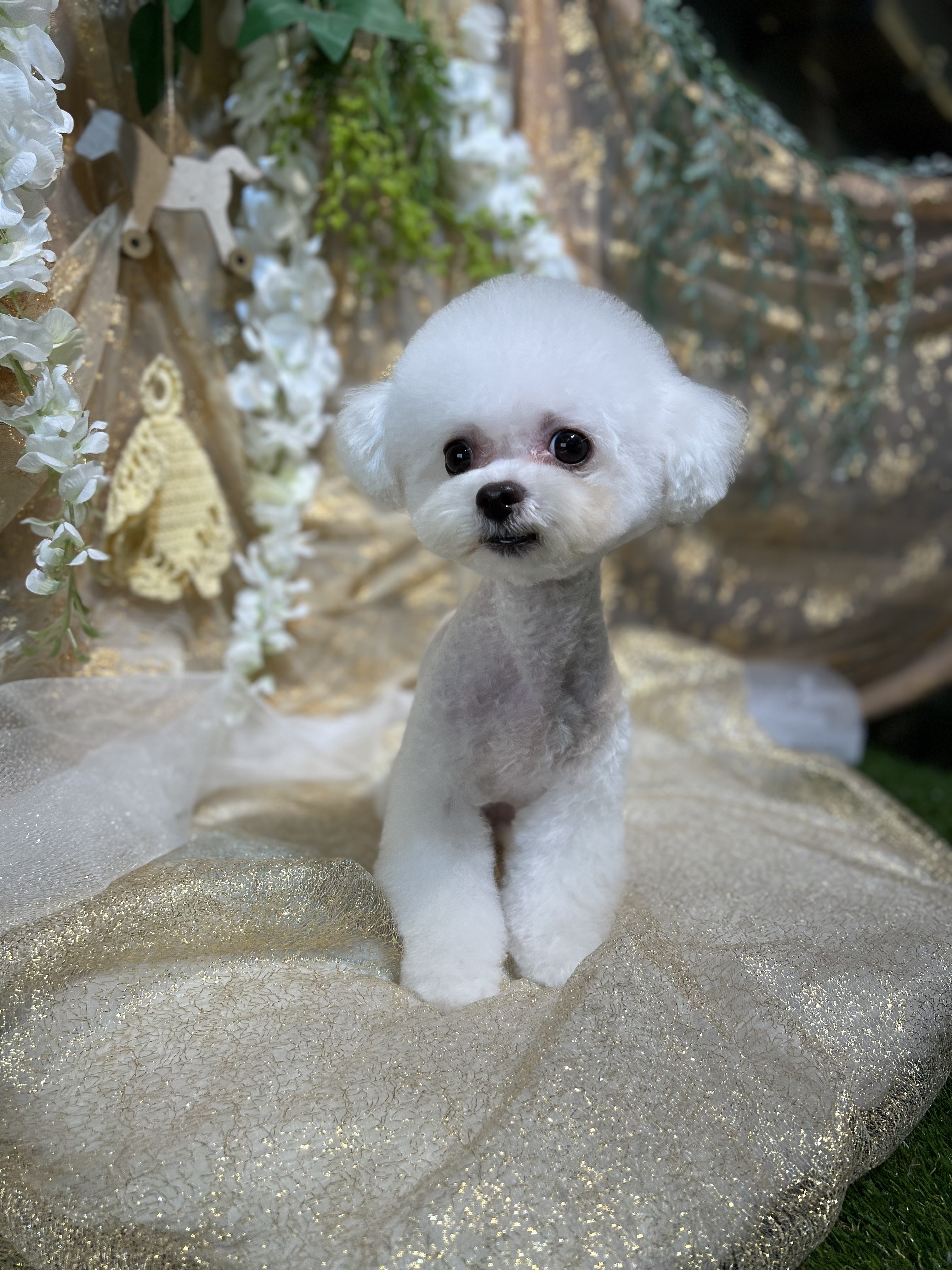 개스타일 이미지