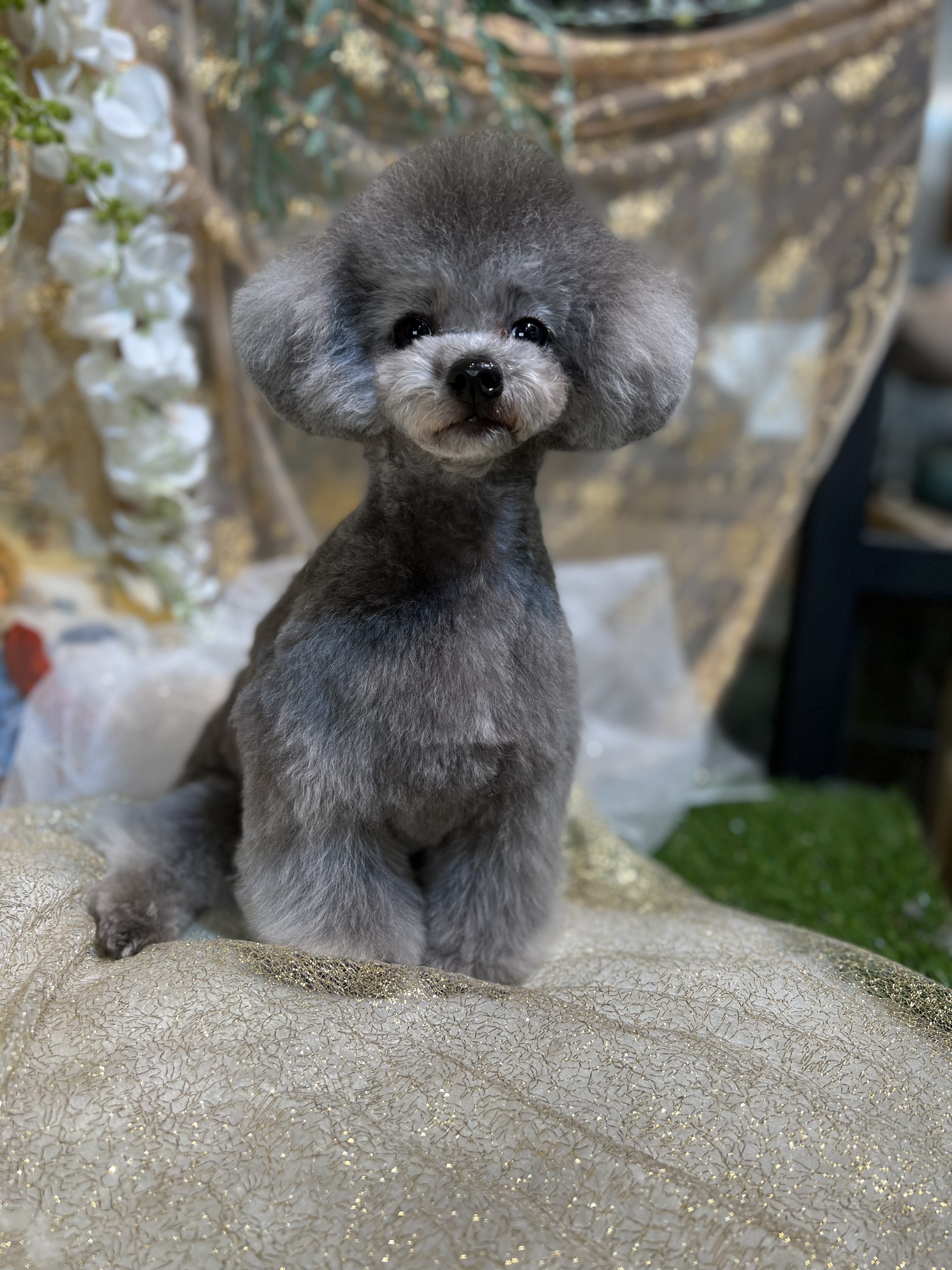 개스타일 대표 이미지