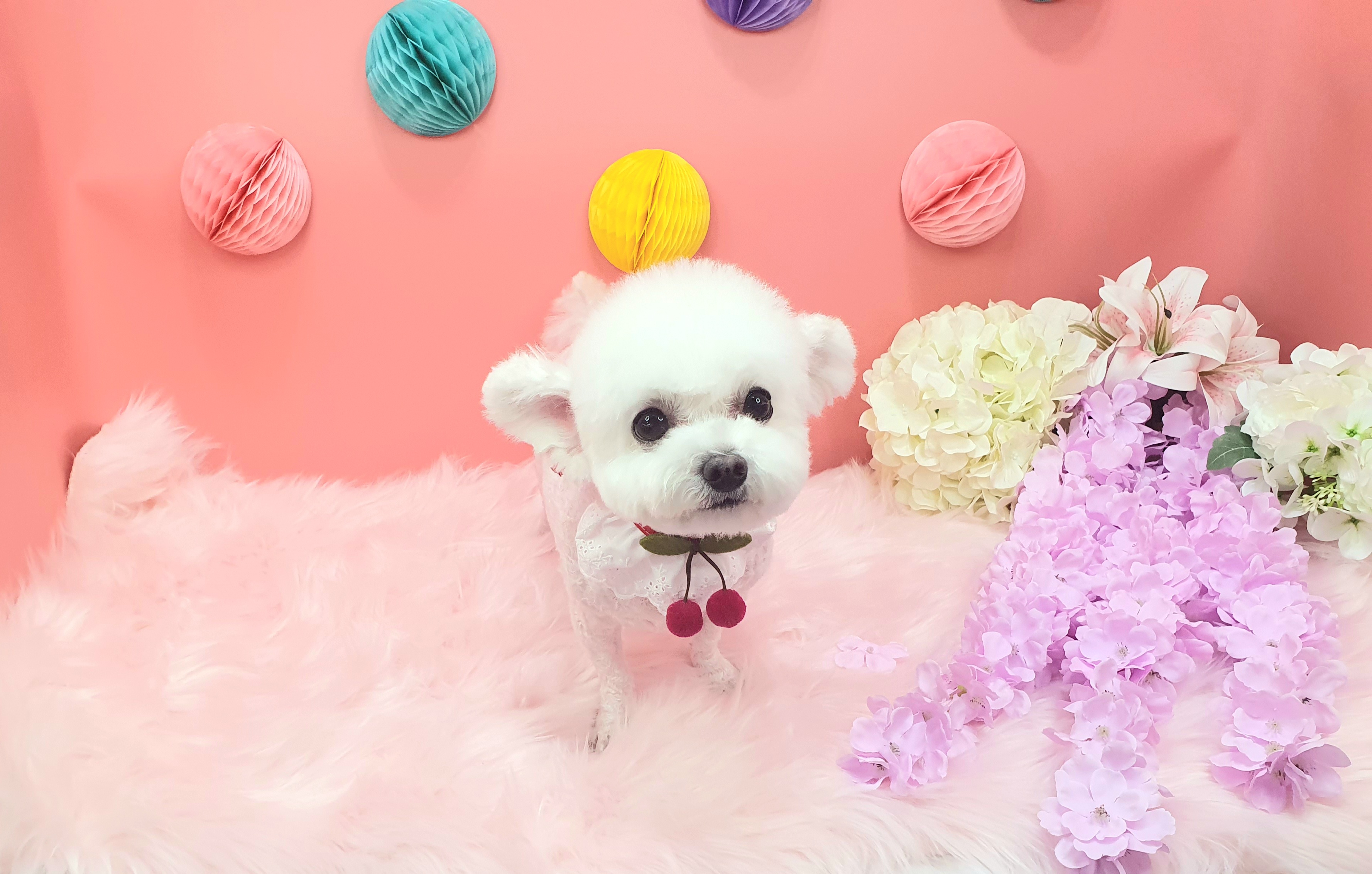 주변 가볼만한 곳