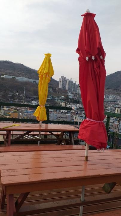 하울참옻닭