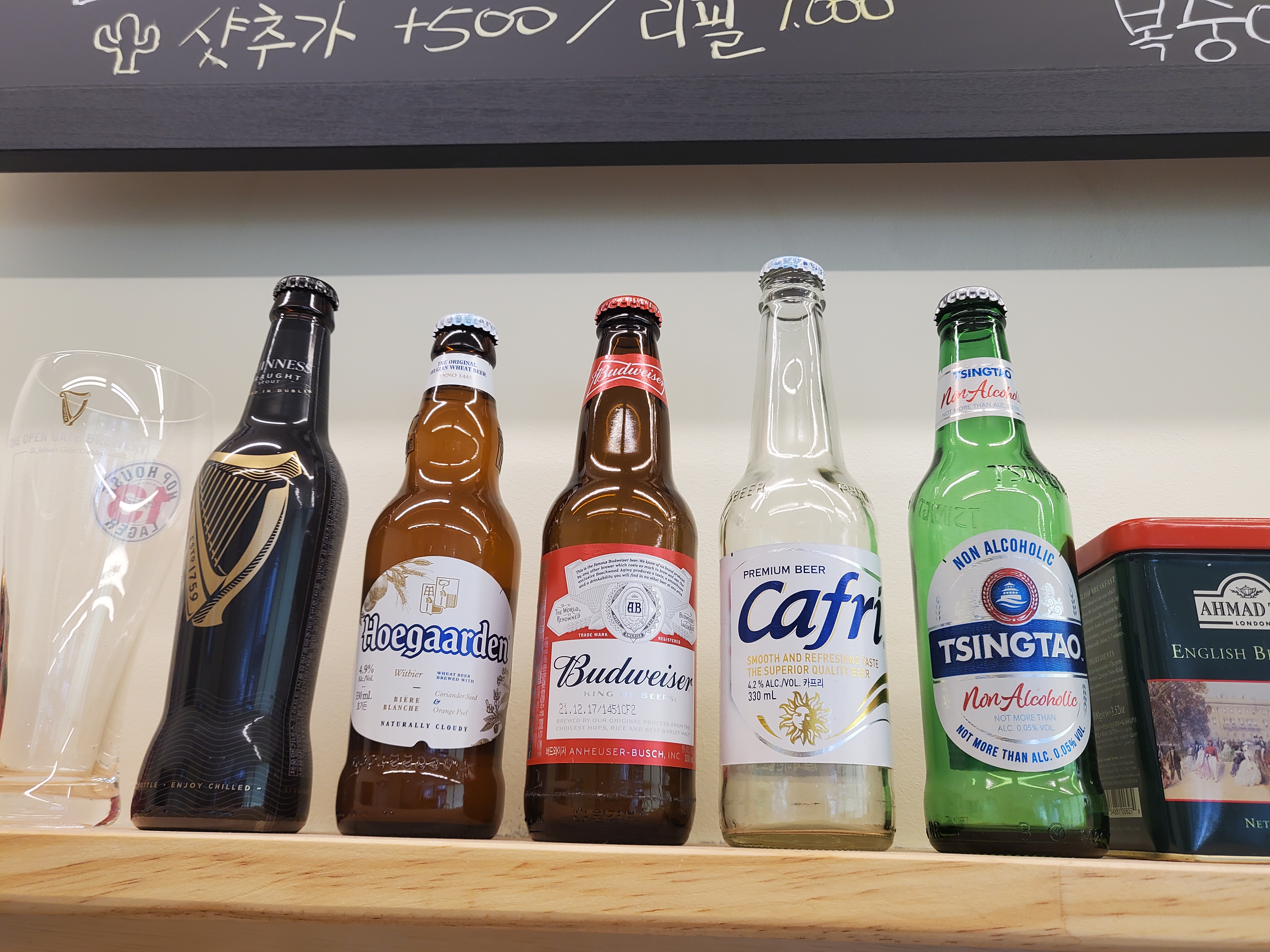오아시스 반려동물 동반 애견카페