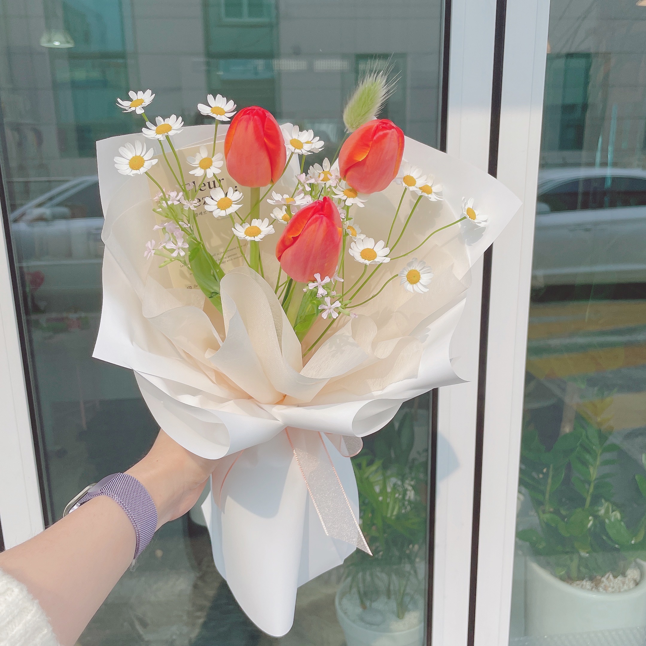 플레르쉐무아
